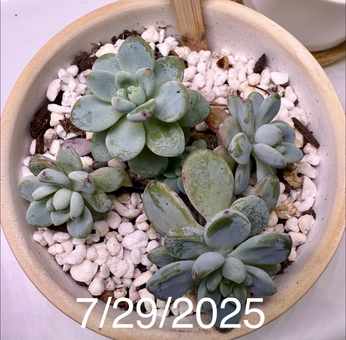 Photo from the post