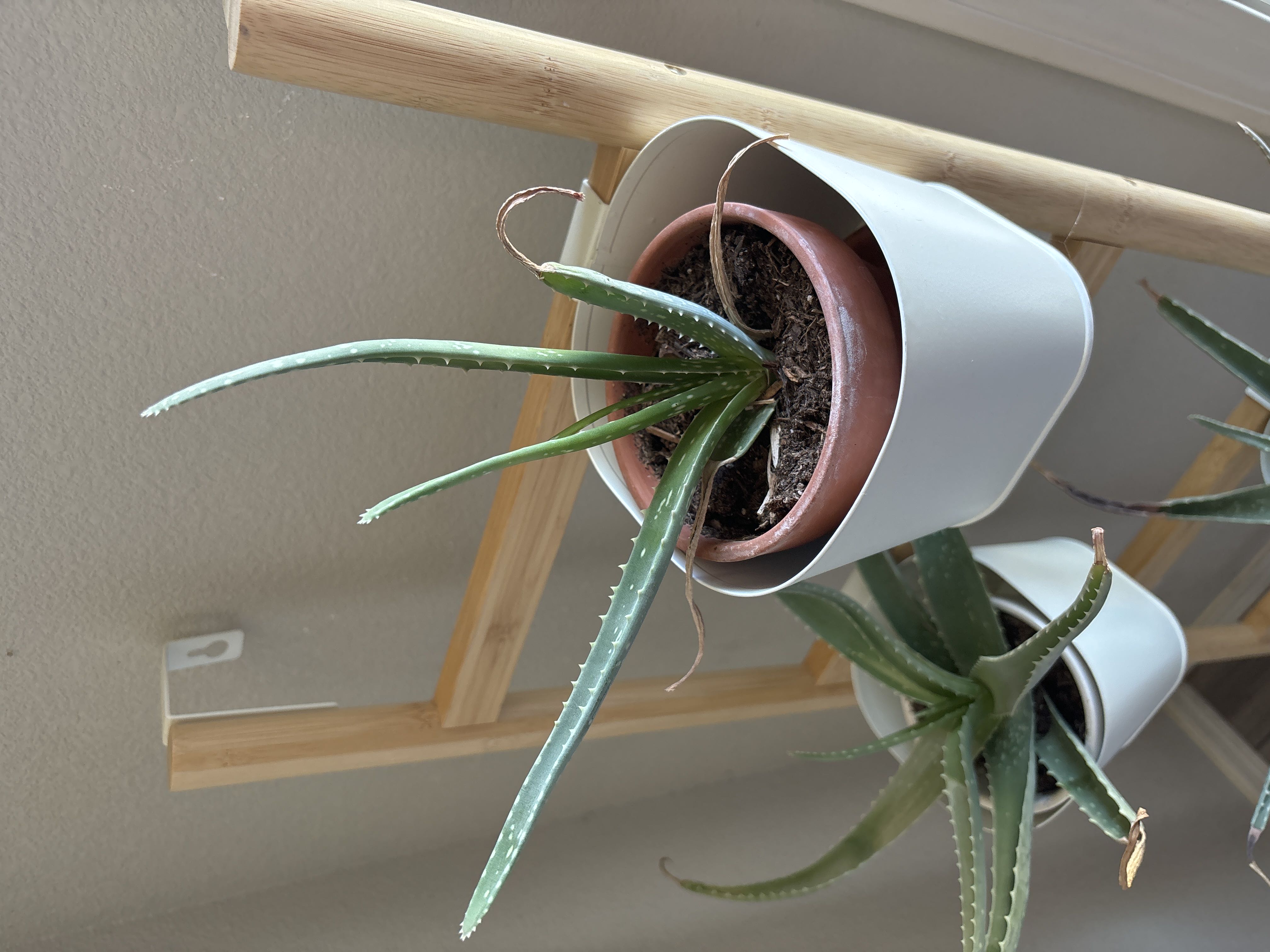 Photo from the post