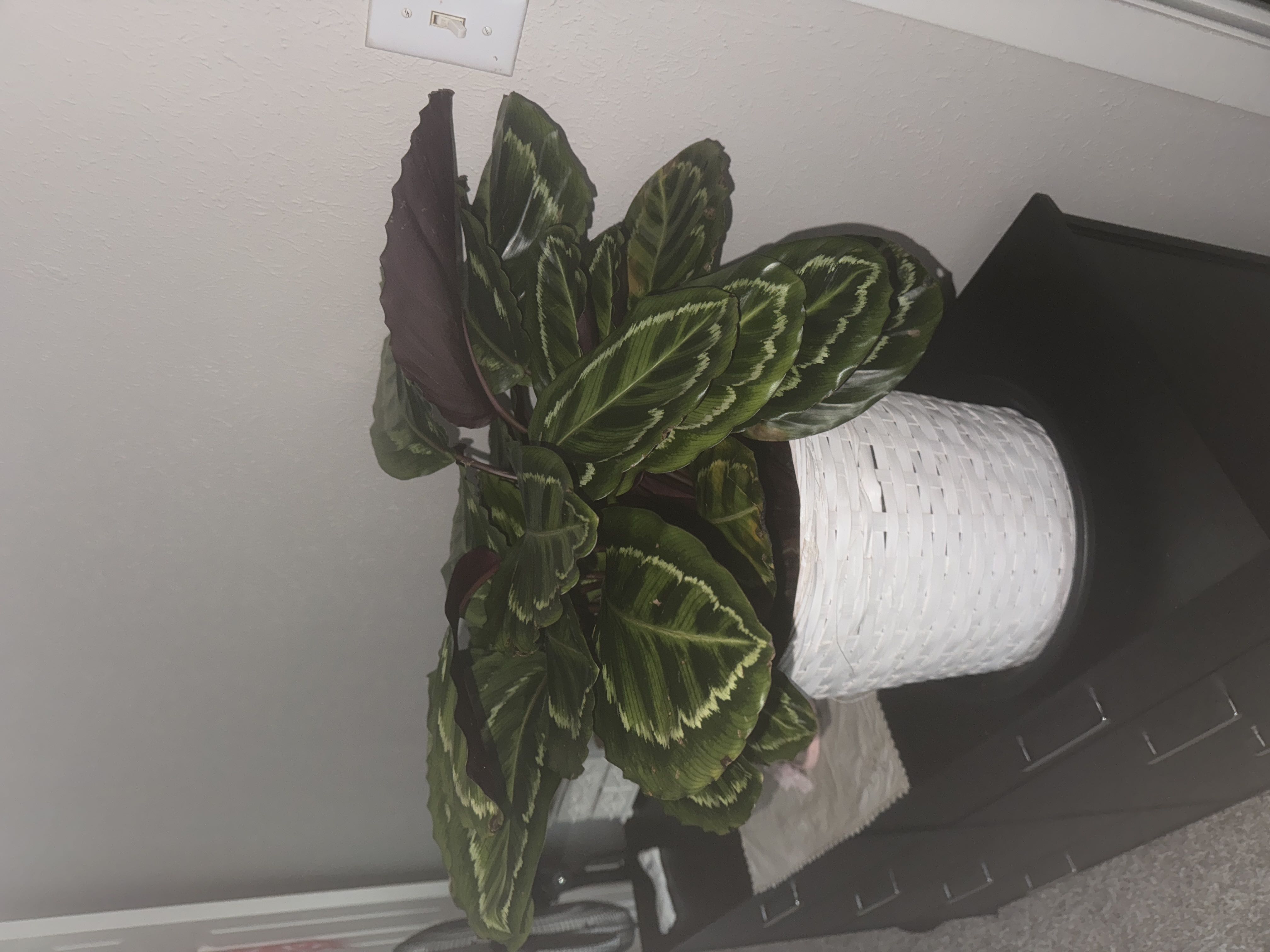 Photo from the post