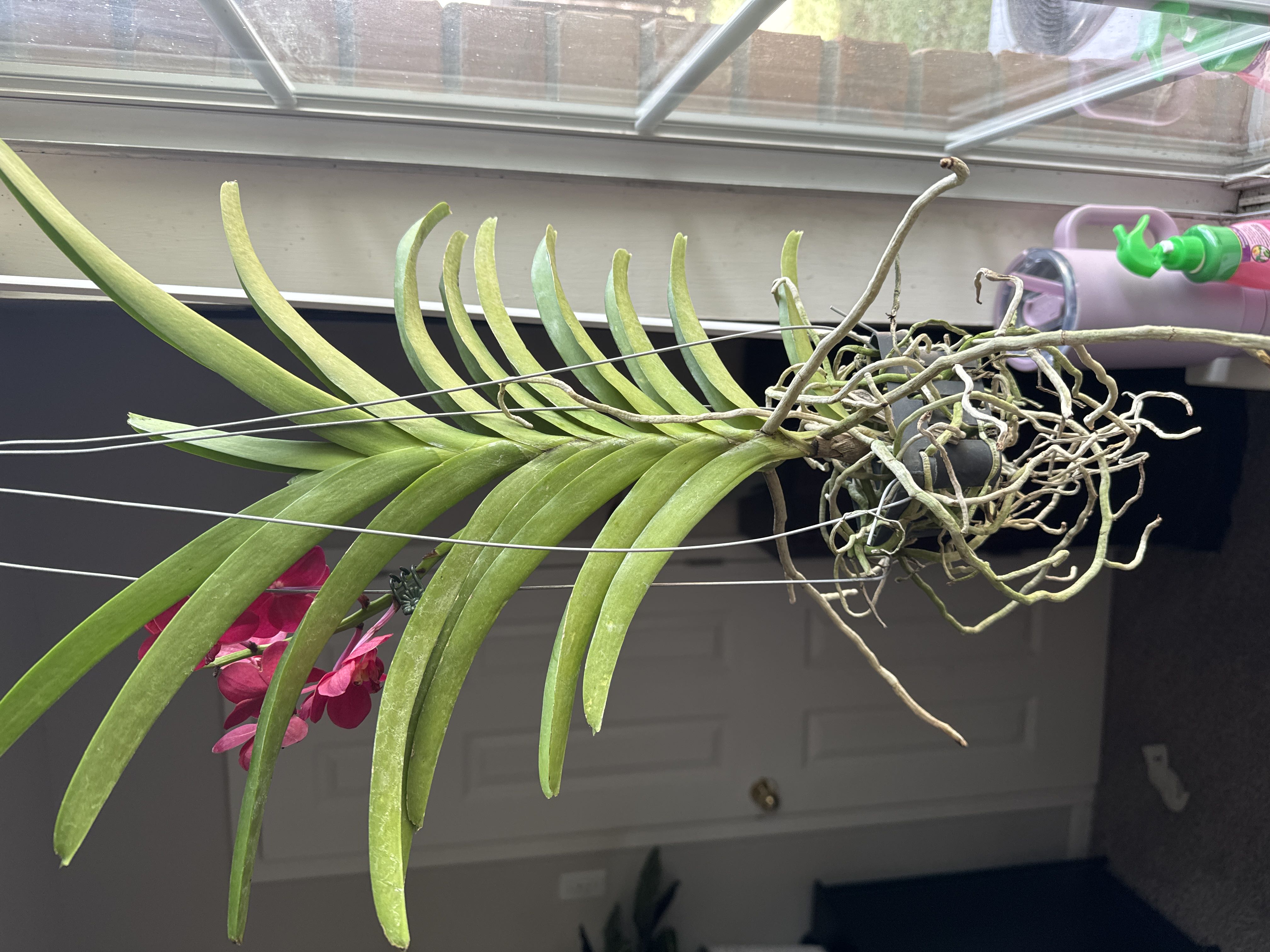 Photo from the post