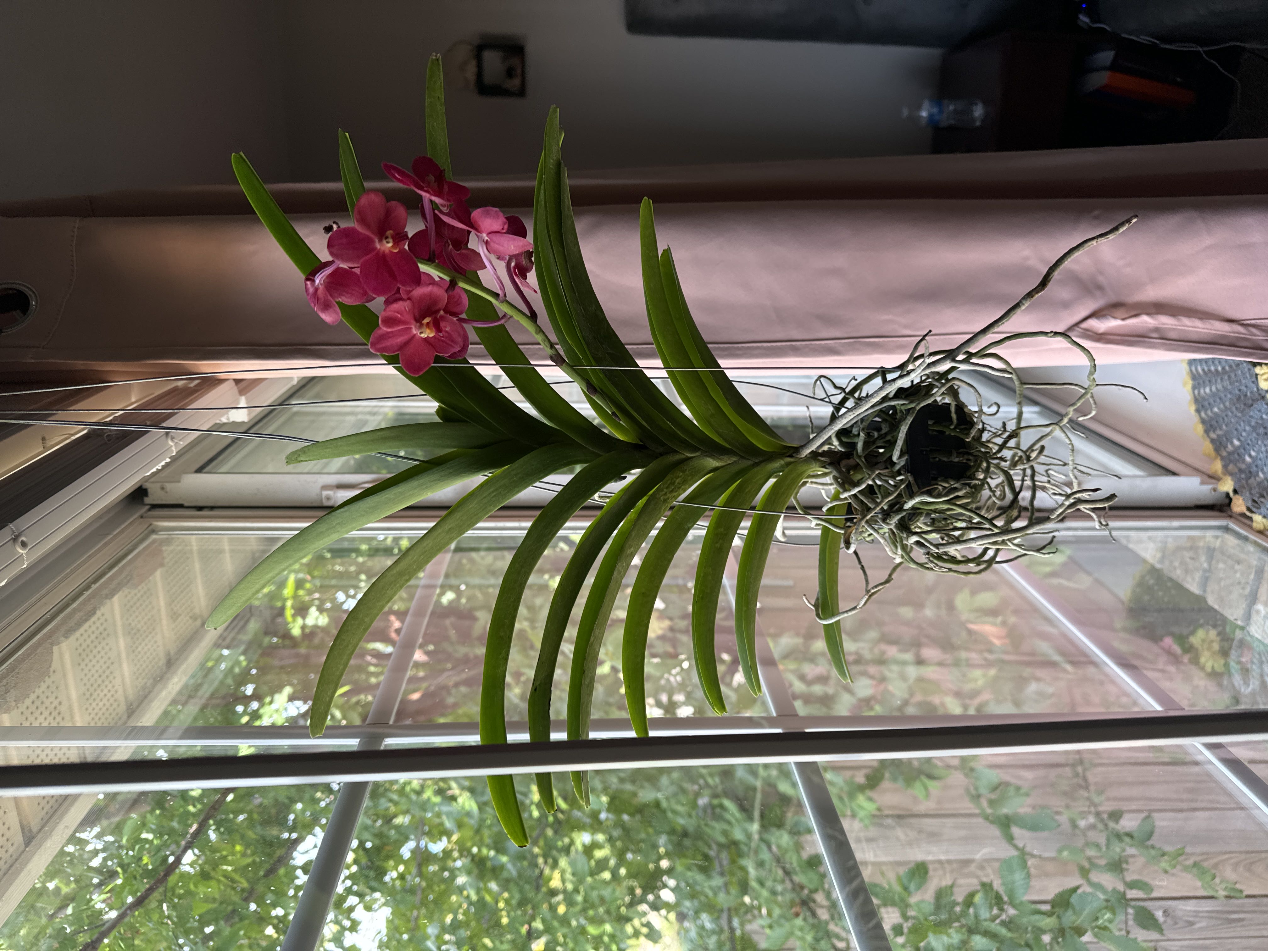 Photo from the post