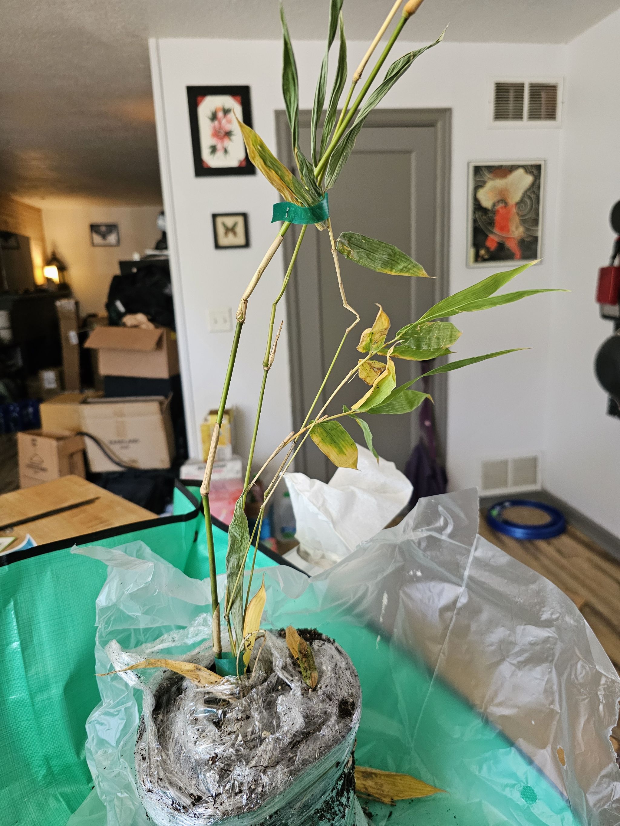 Photo from the post