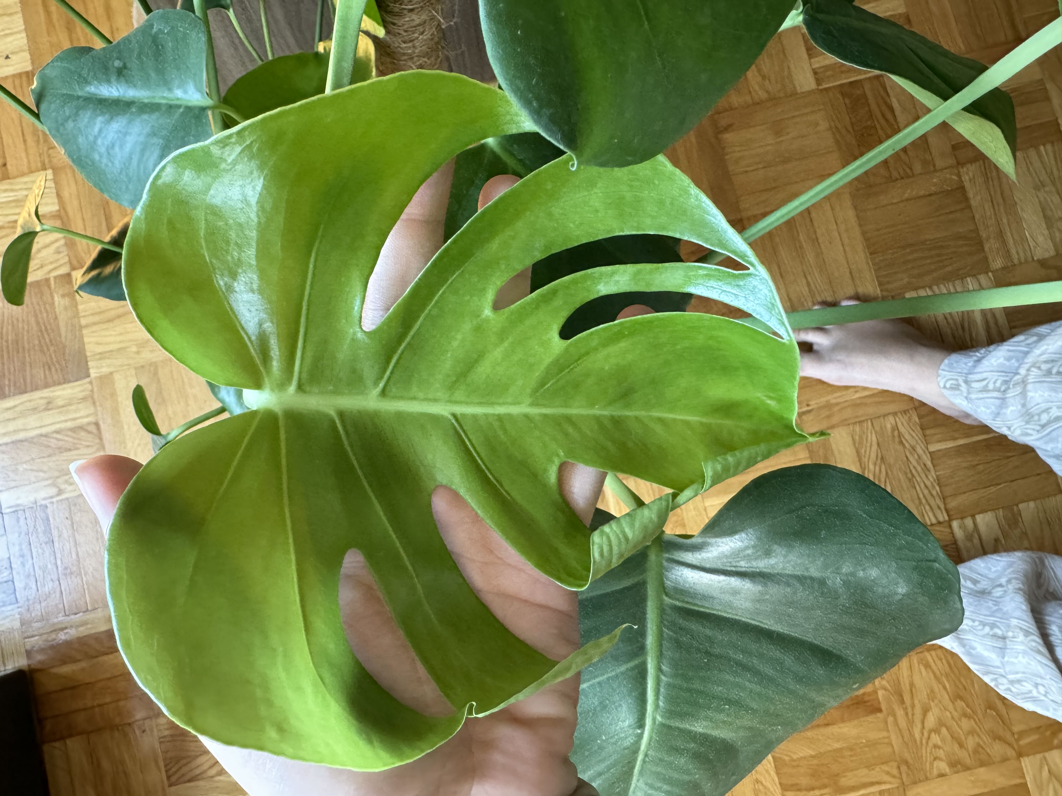 Photo from the post