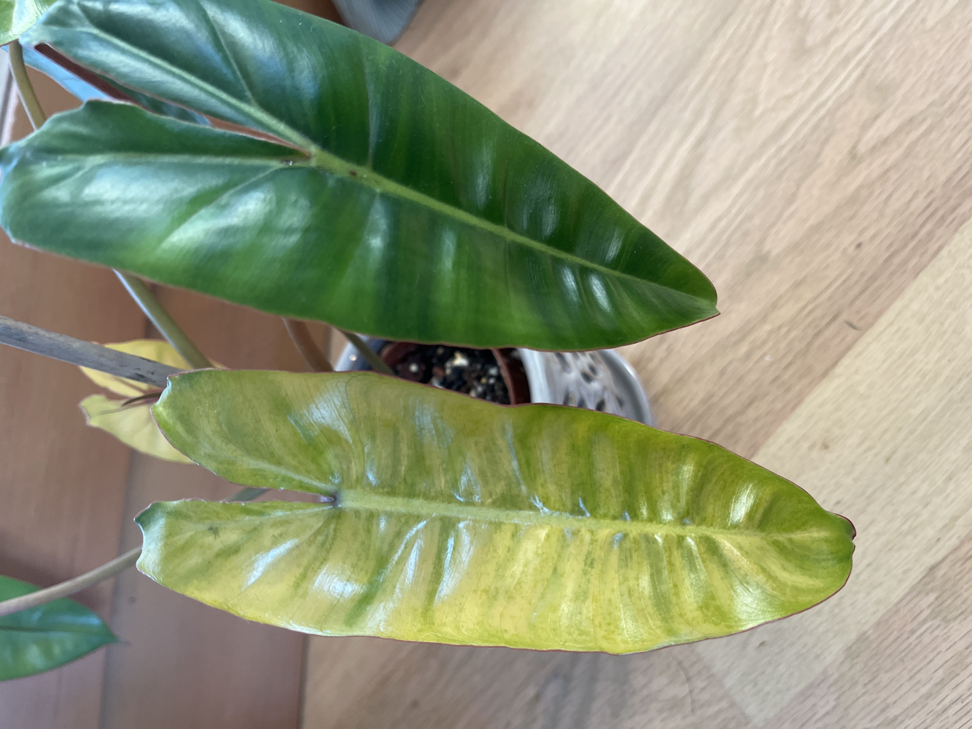 Photo from the post