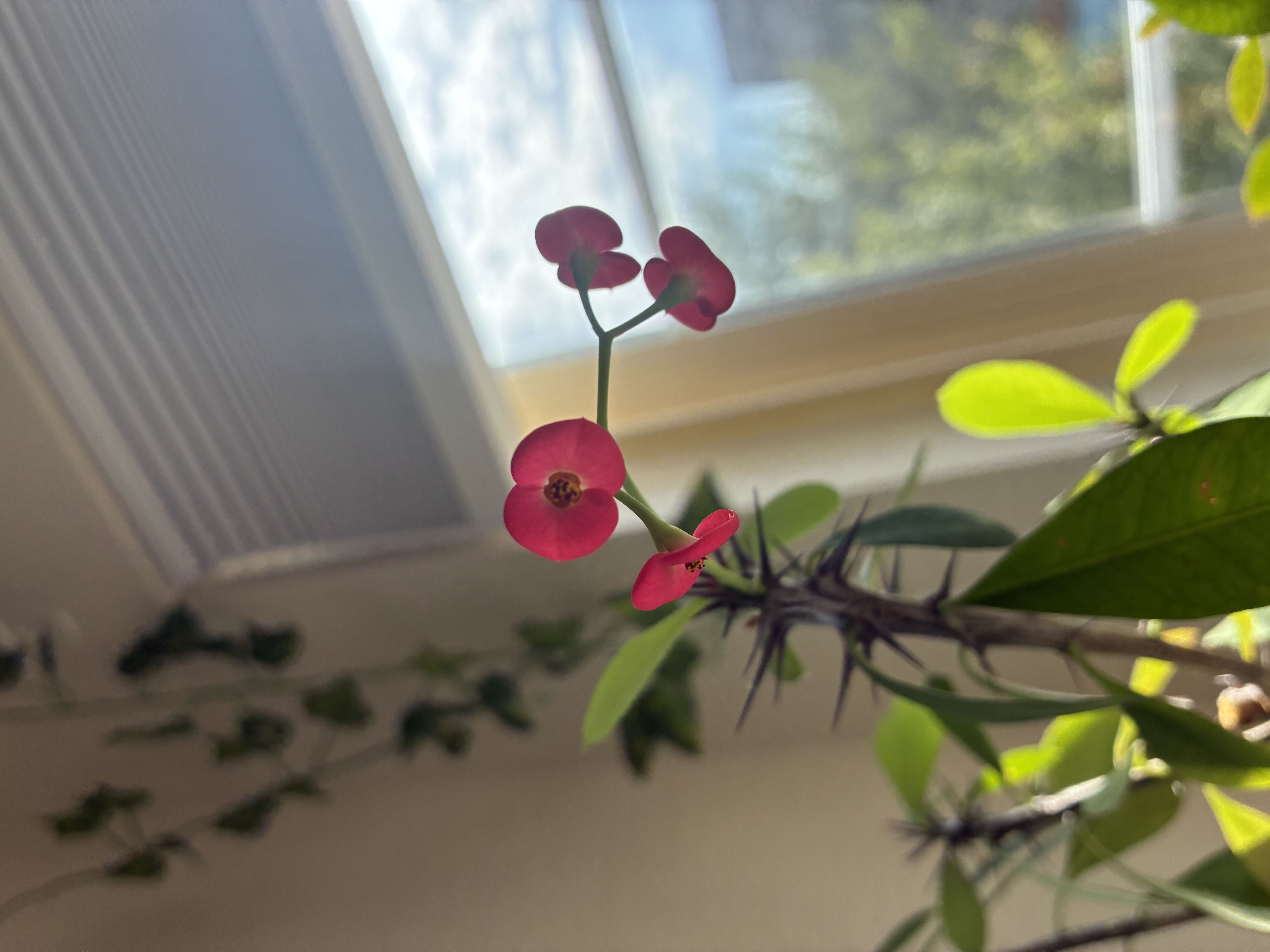 Photo from the post