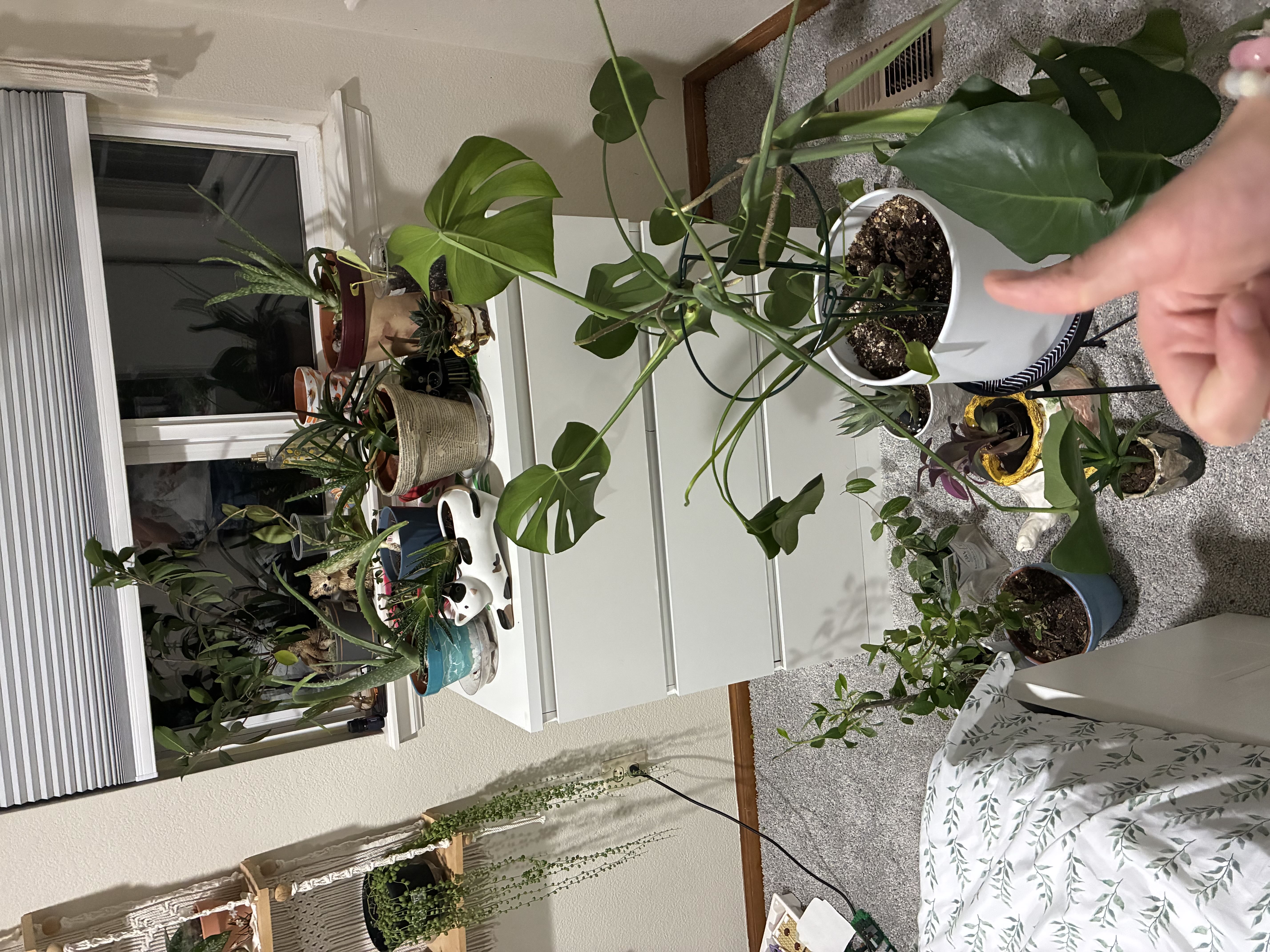 Photo from the post
