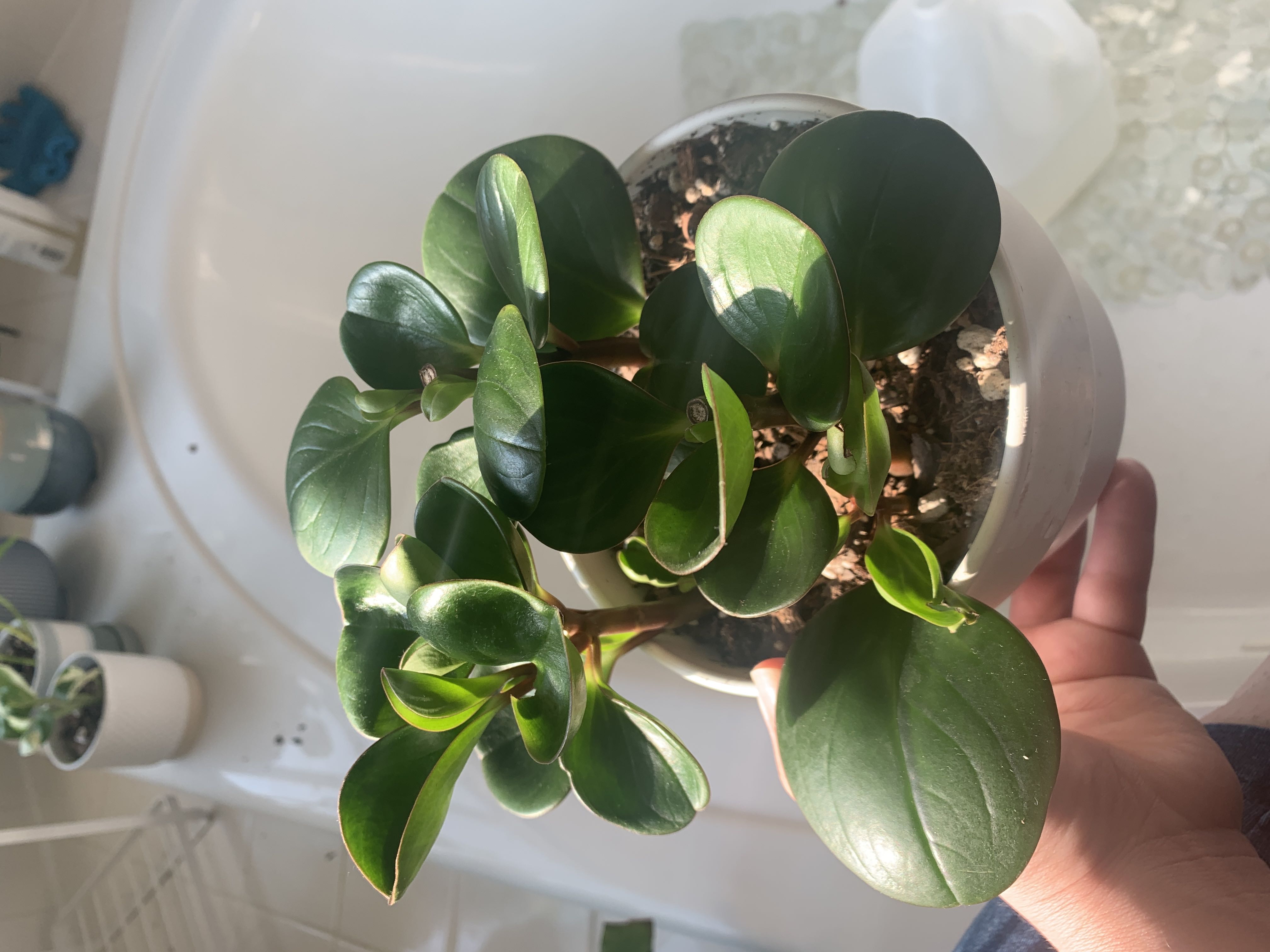 Photo from the post