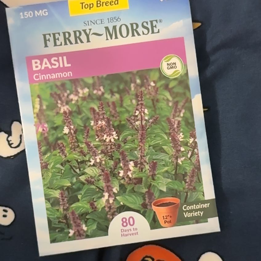 Photo of the plant species Cinnamon Basil by @TidySonomasage named Miley on Greg, the plant care app