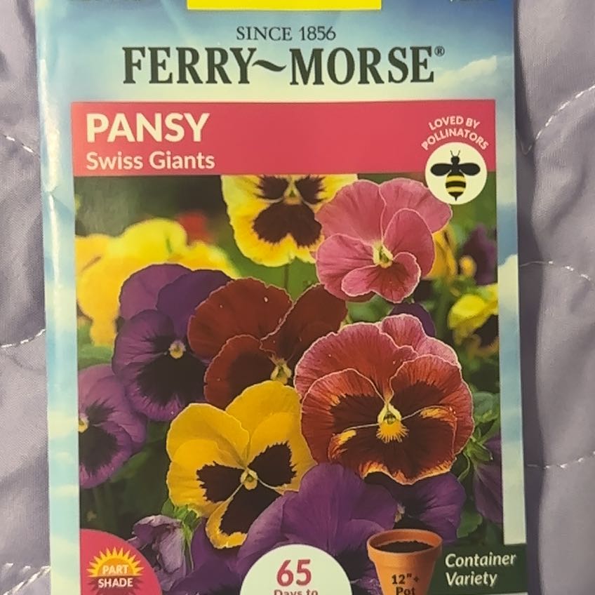 Photo of the plant species Pansy 'Swiss Giants Rhinegold' by @TidySonomasage named Myrtle on Greg, the plant care app
