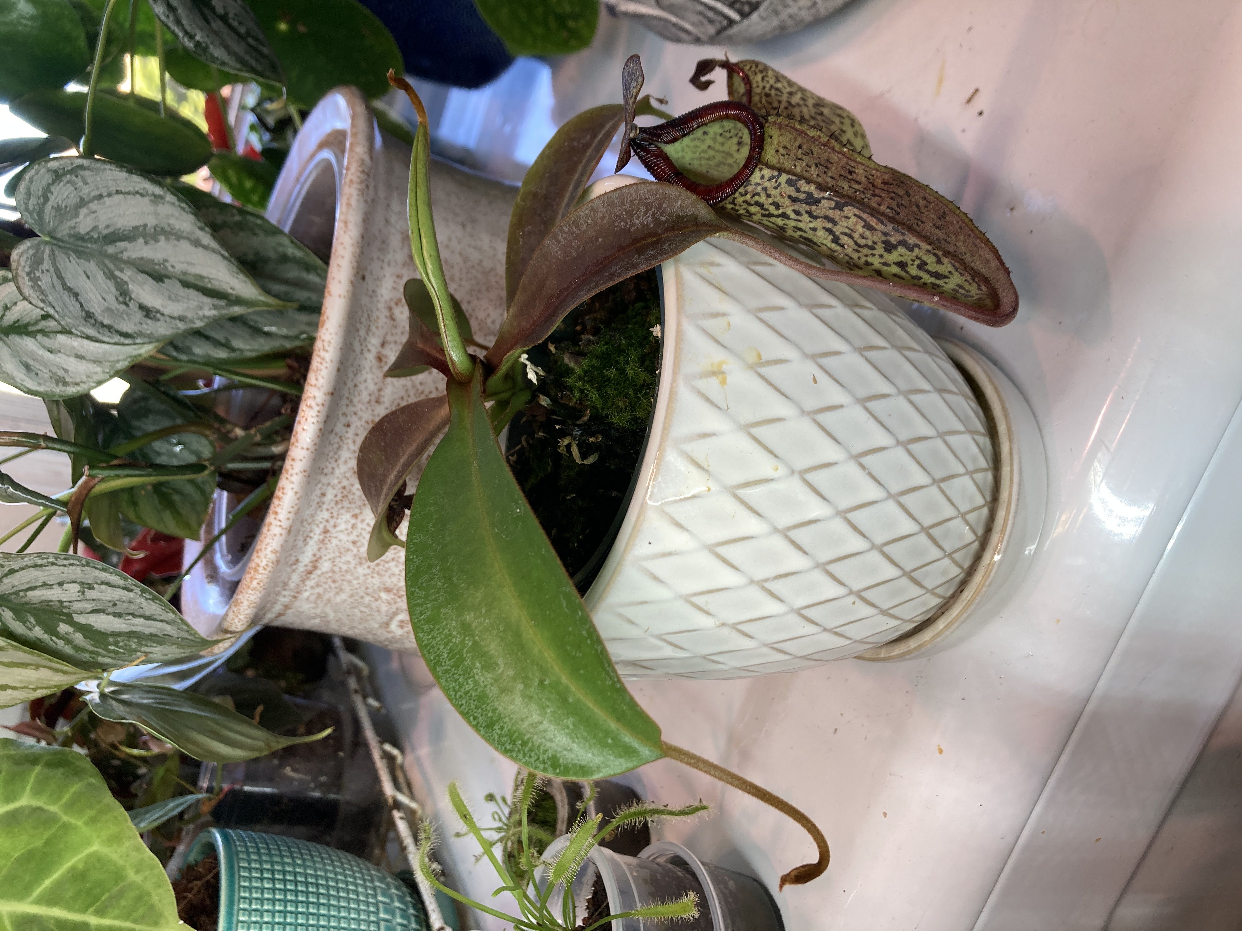 Photo from the post