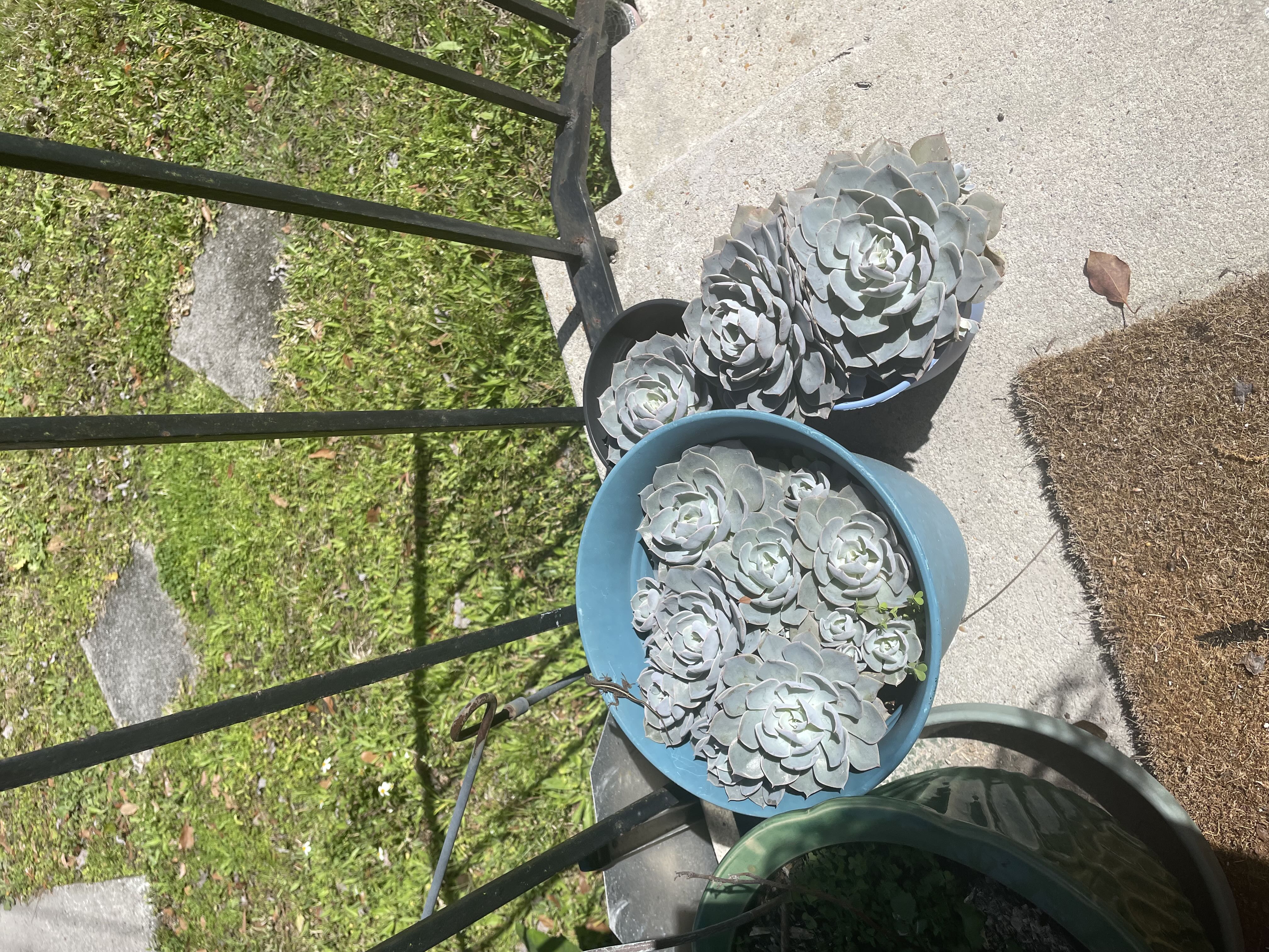 Photo from the post