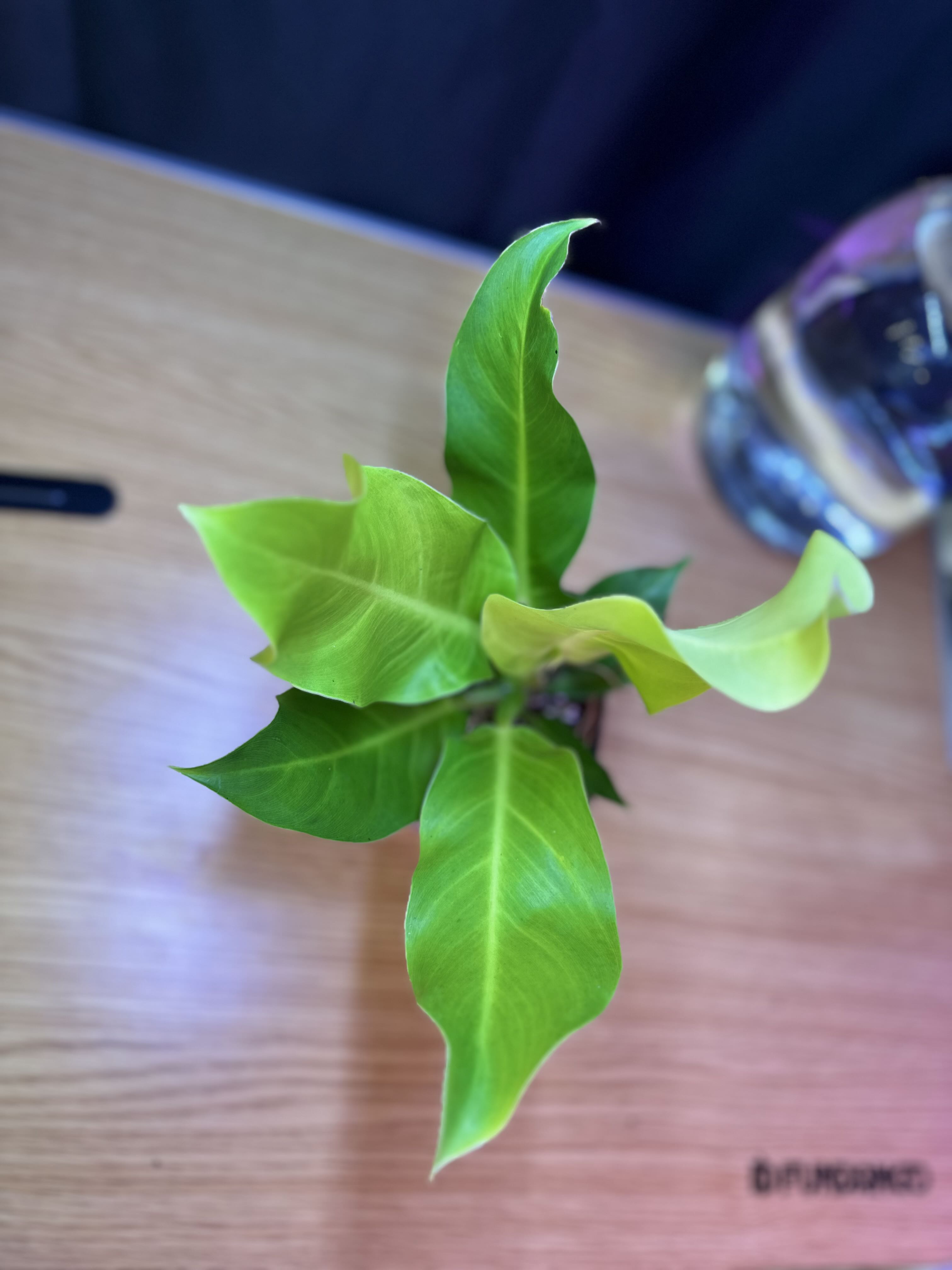 Photo from the post