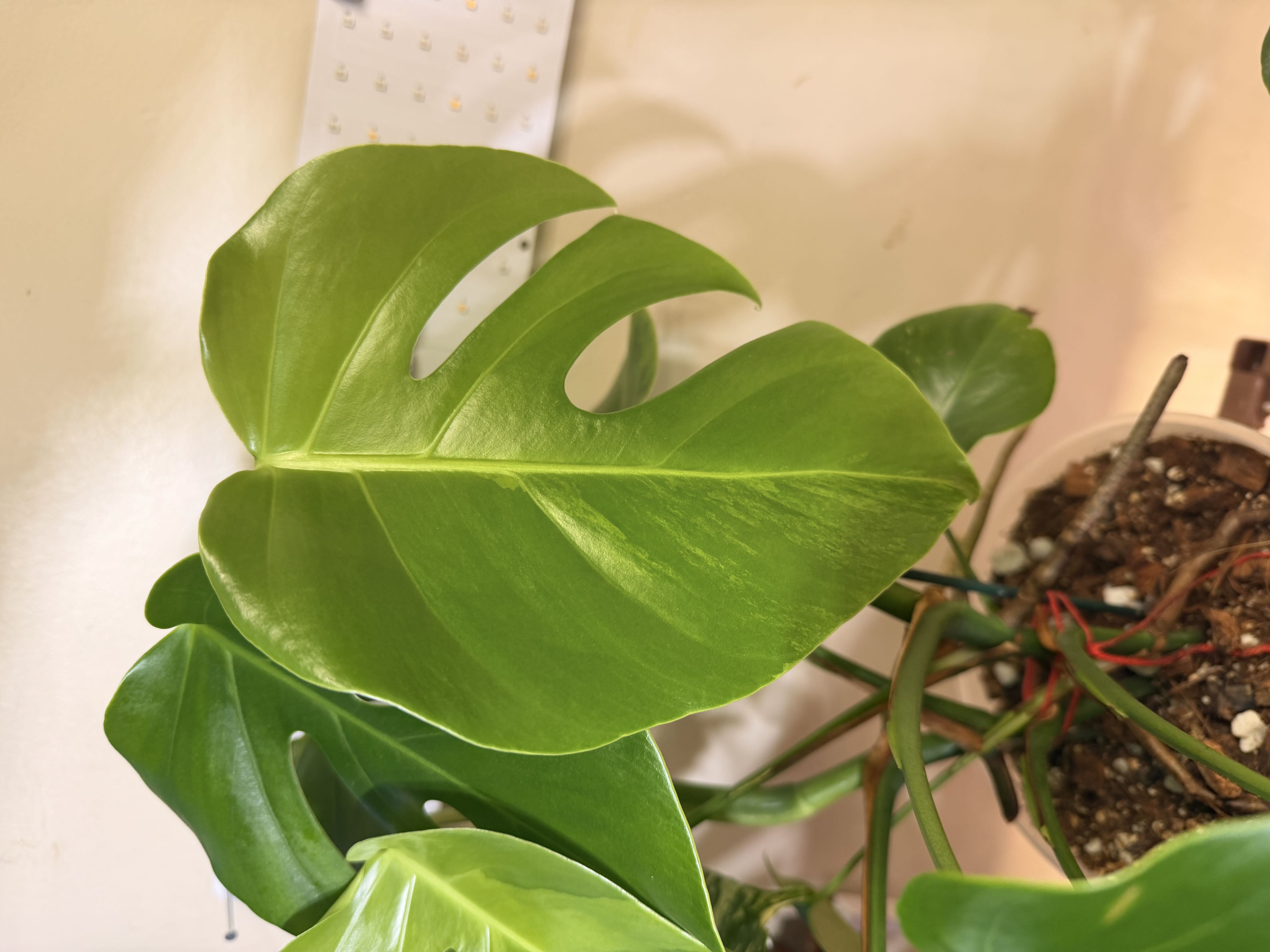 Photo from the post