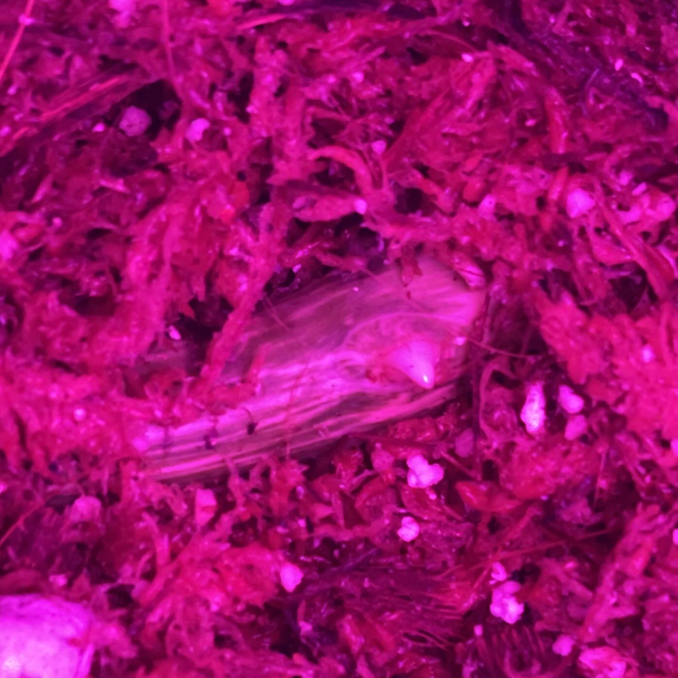 Photo from the post