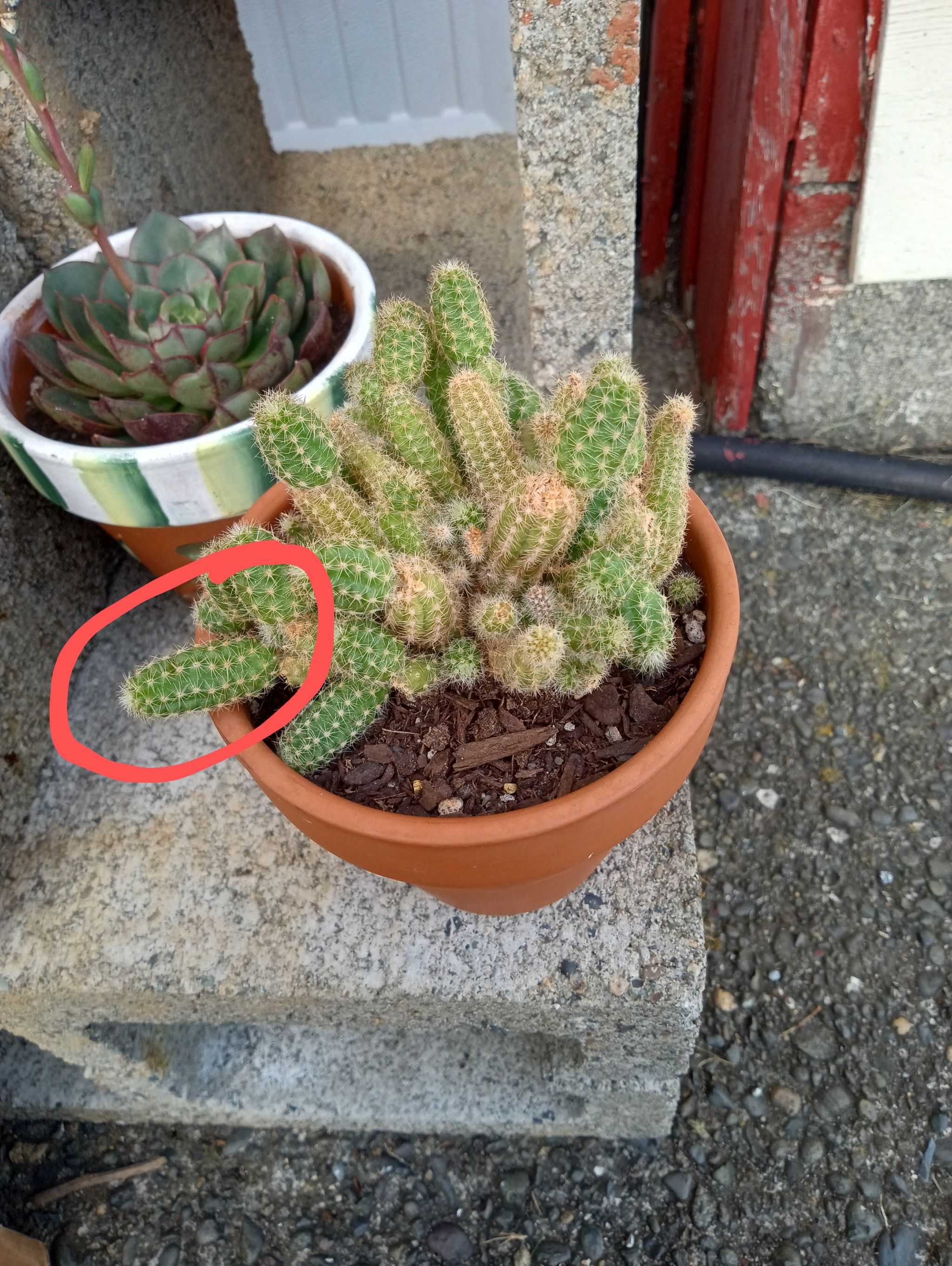 Photo from the post