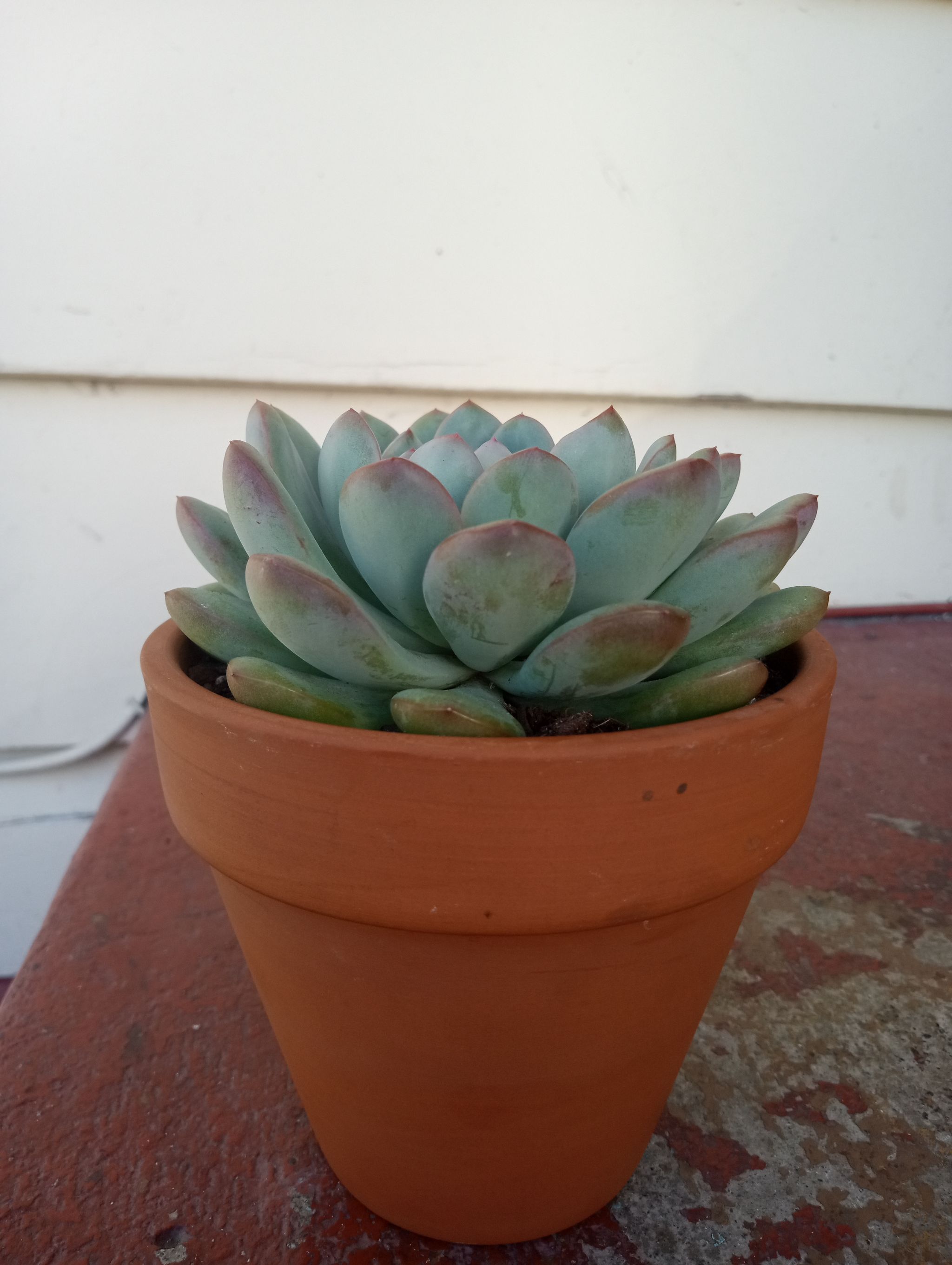 Photo from the post