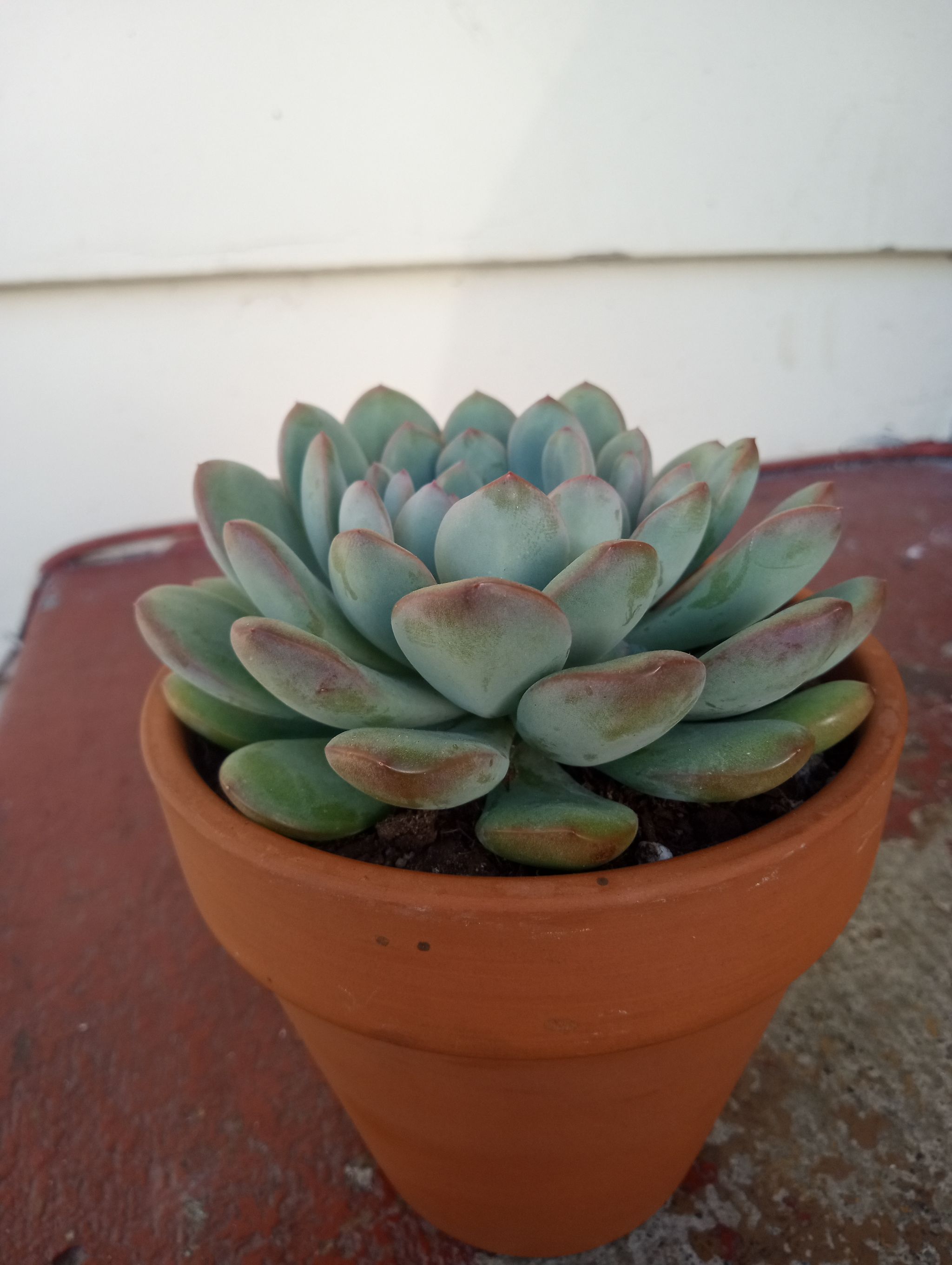 Photo from the post