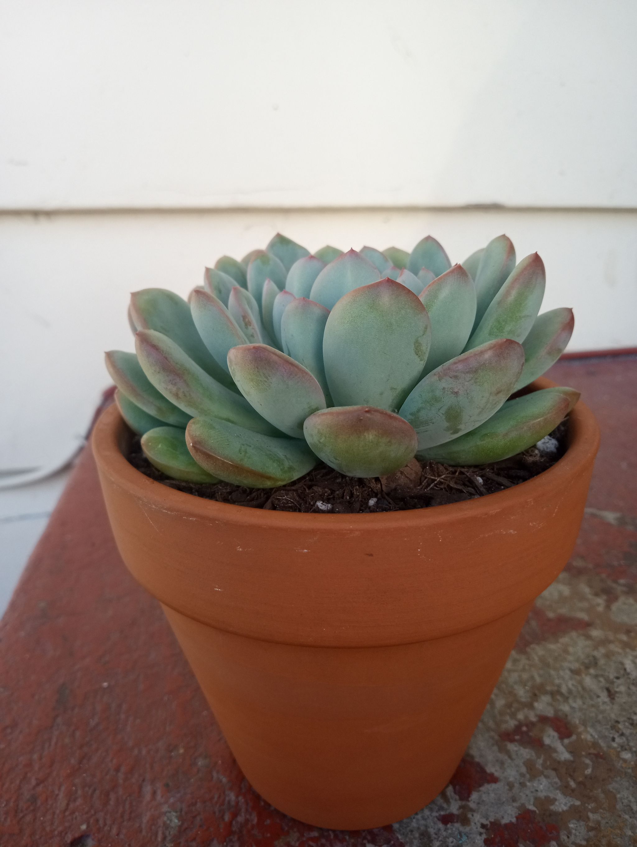 Photo from the post