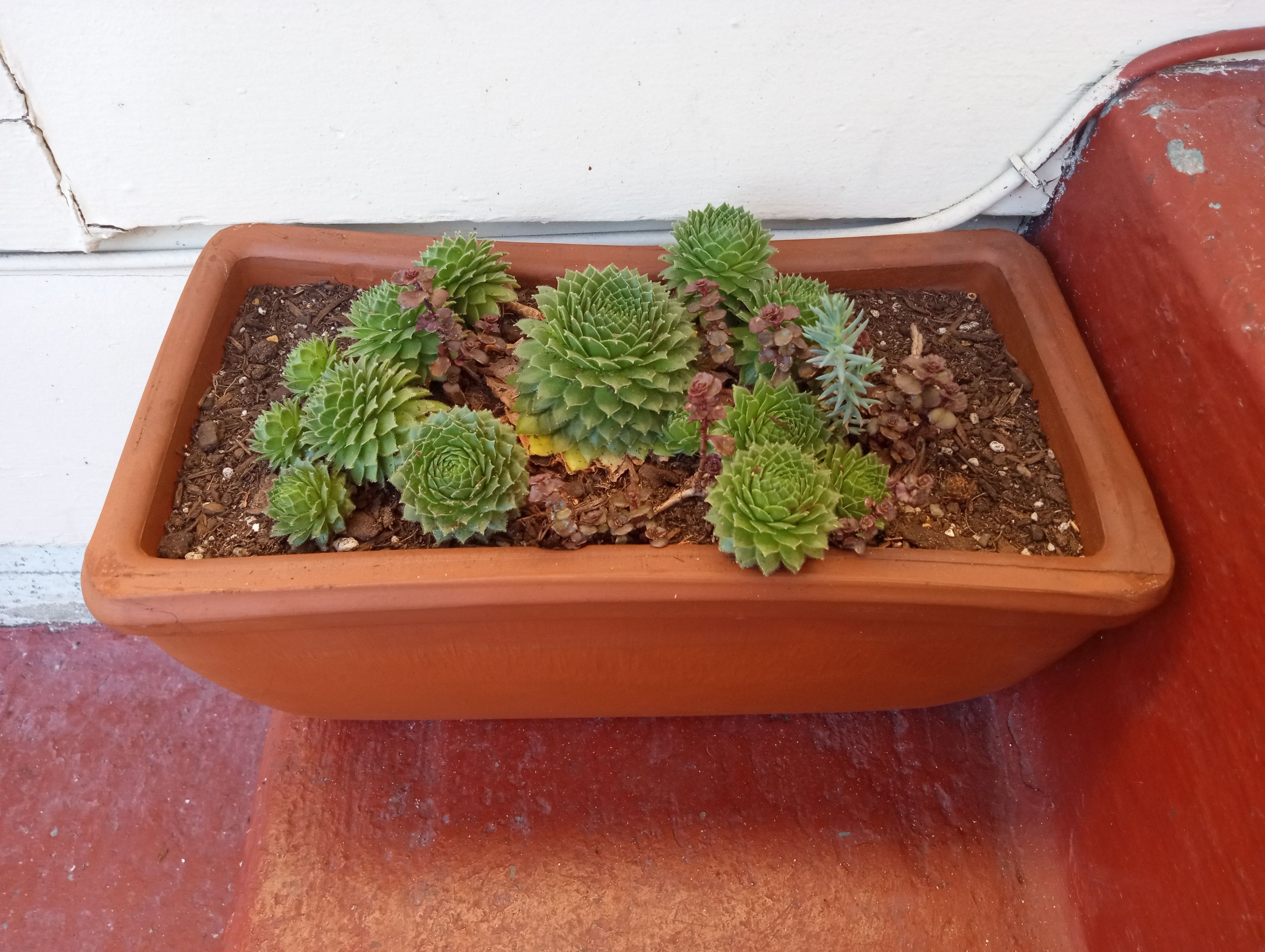 Photo from the post