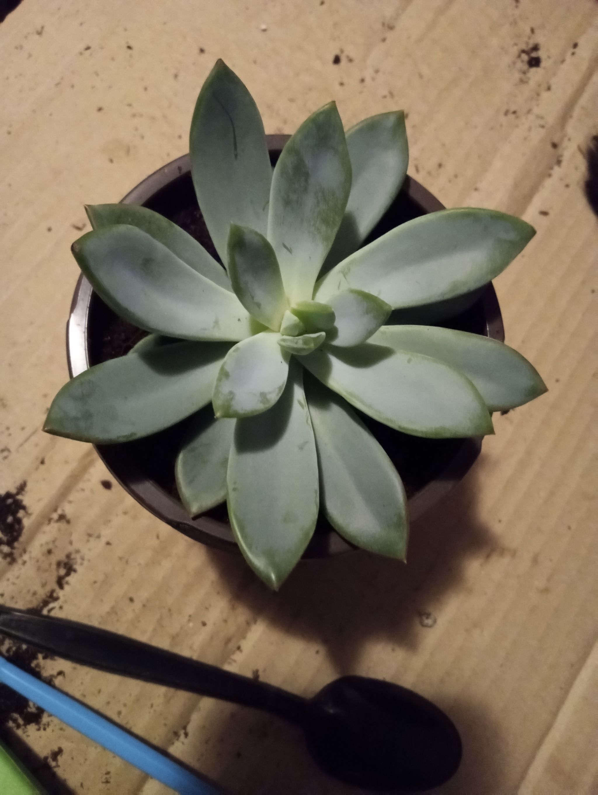 Photo from the post