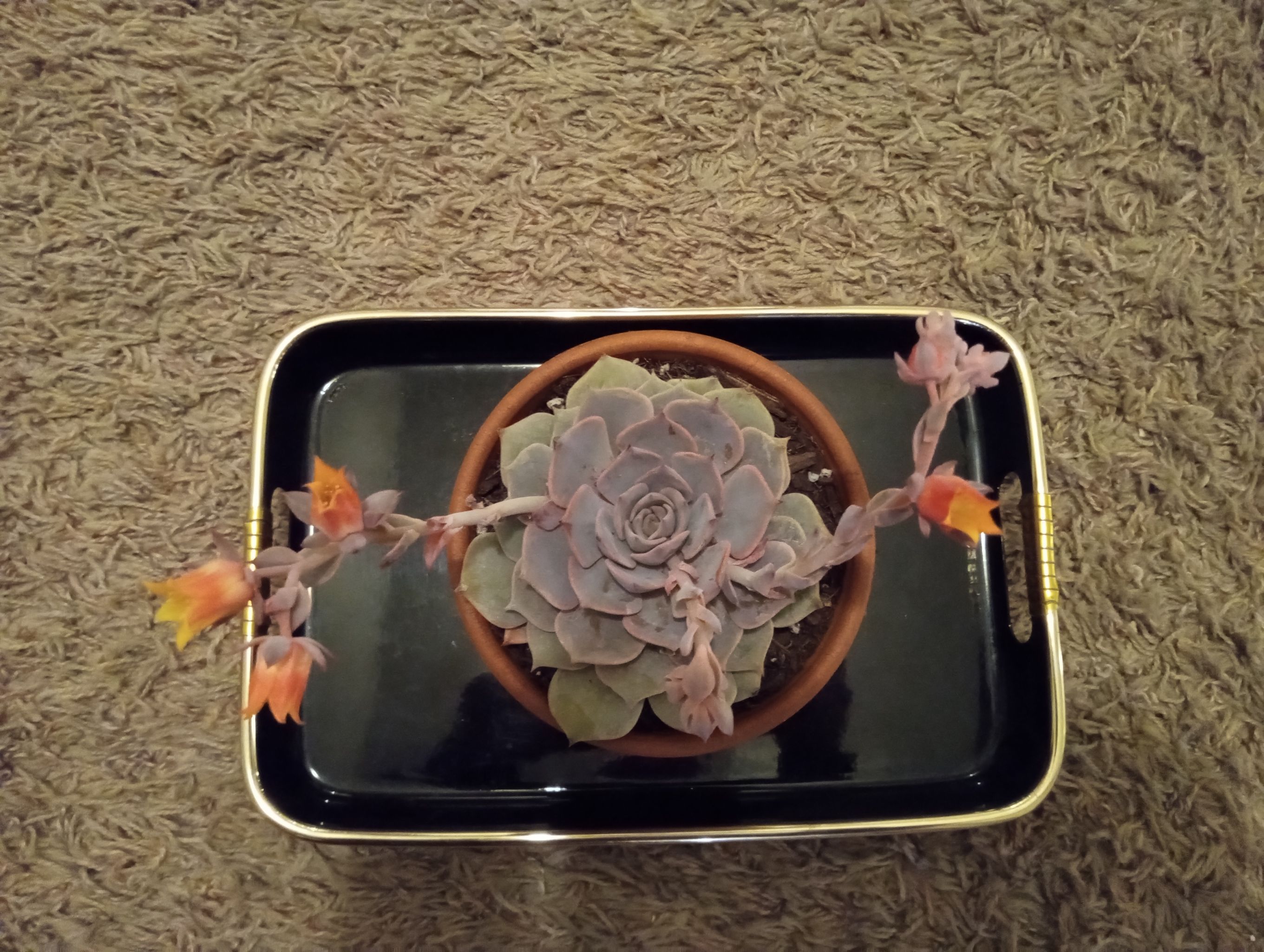 Photo from the post