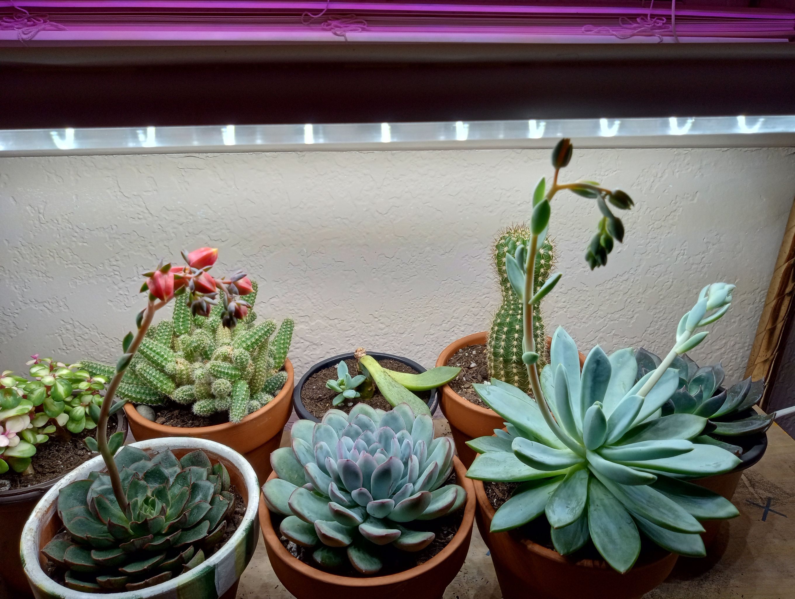 Photo from the post