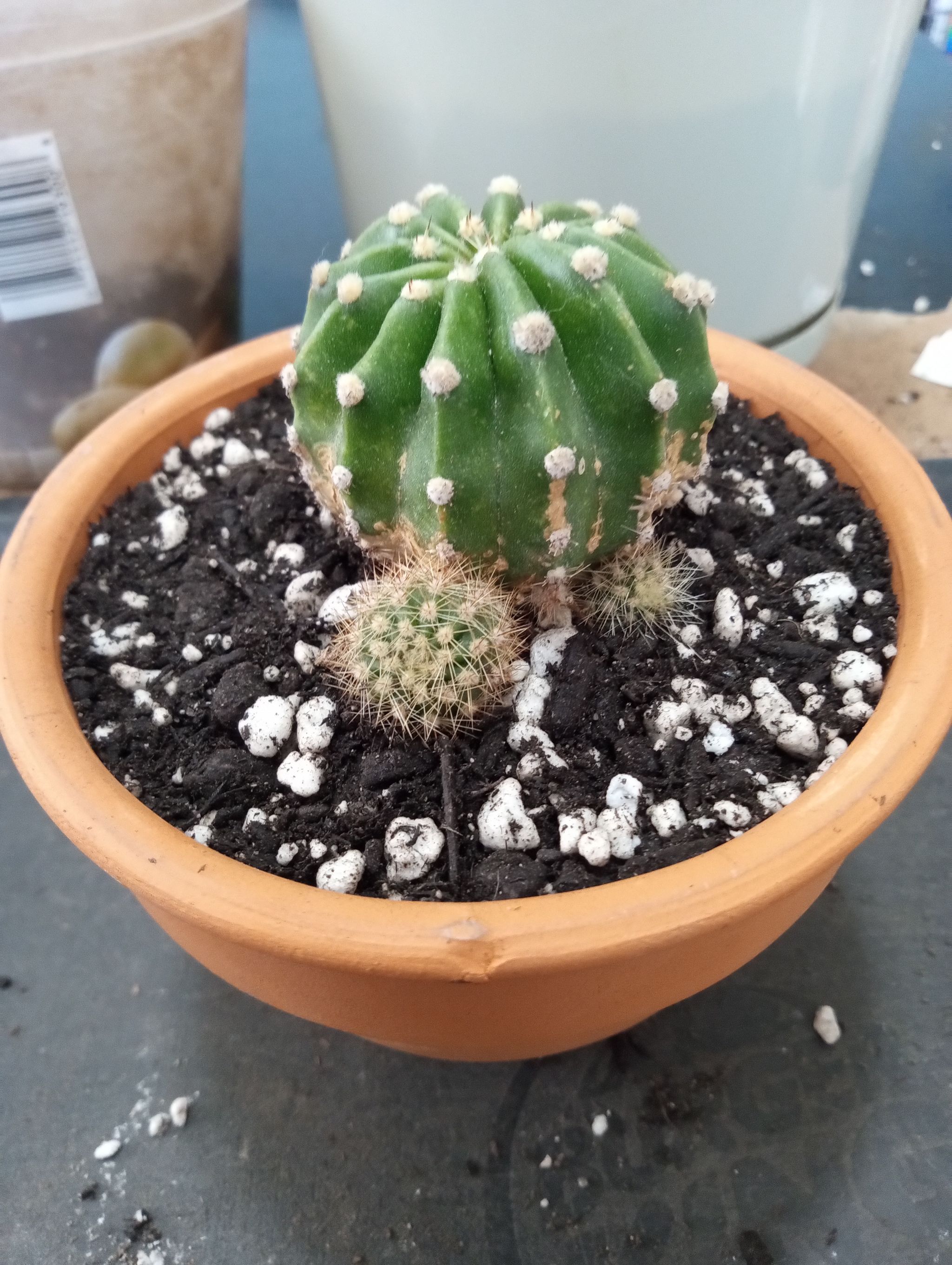 Photo from the post