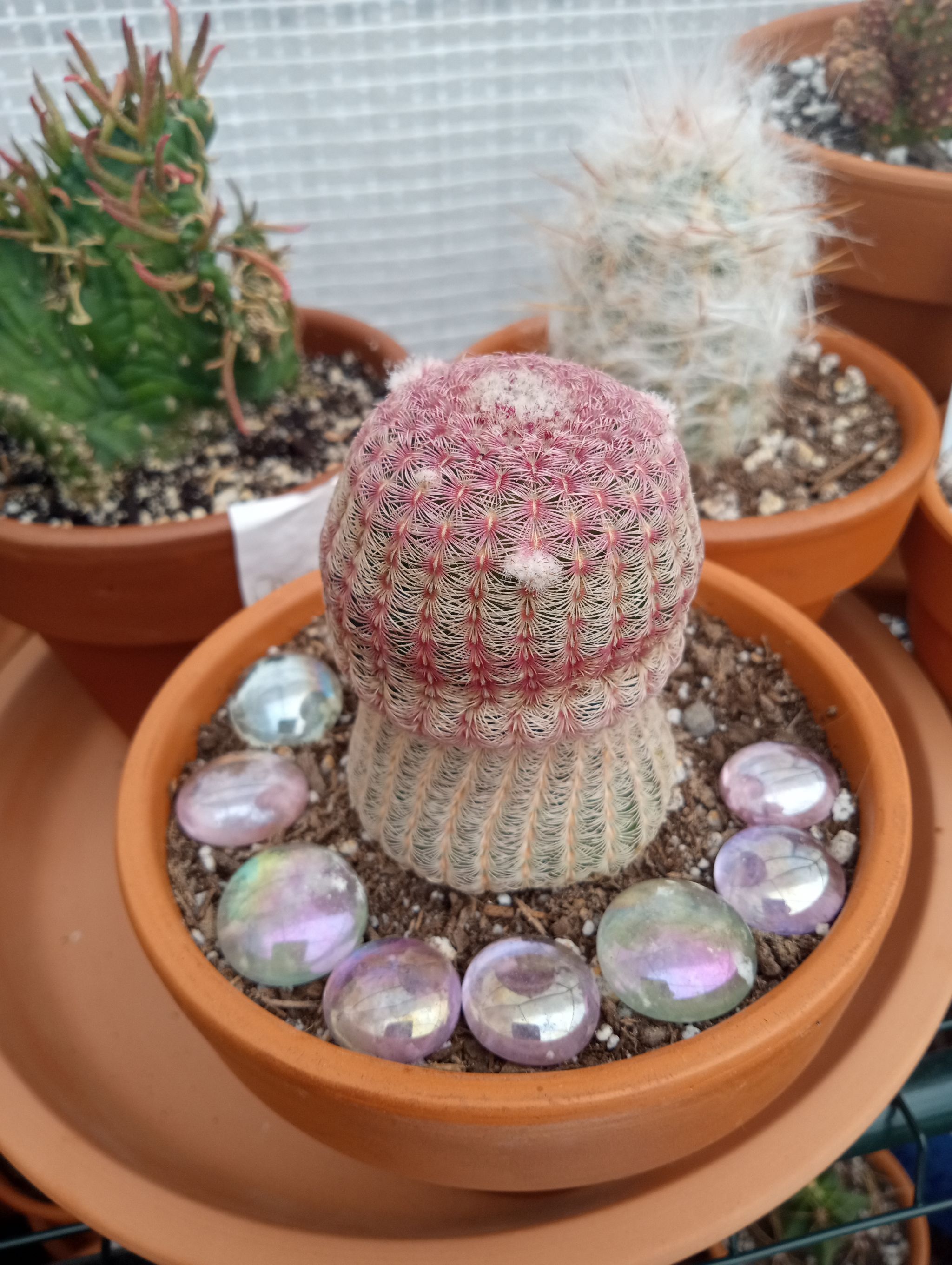 Photo from the post