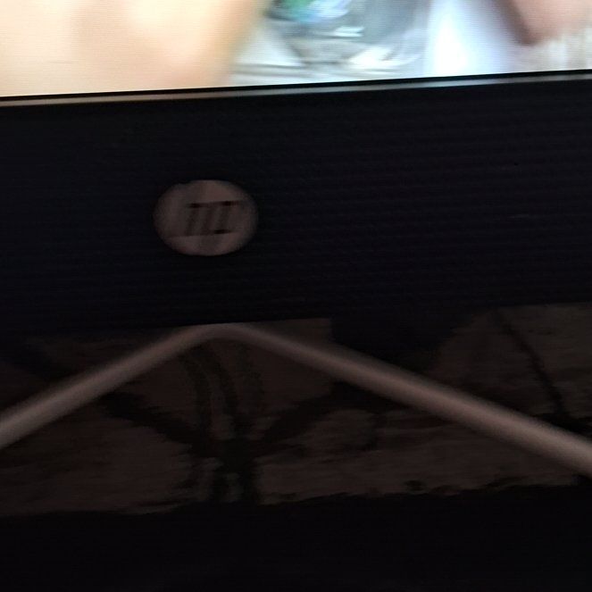 Photo of the plant species Carolina Mosquitofern by @SilveryUngnadia named Fernie Saunders on Greg, the plant care app