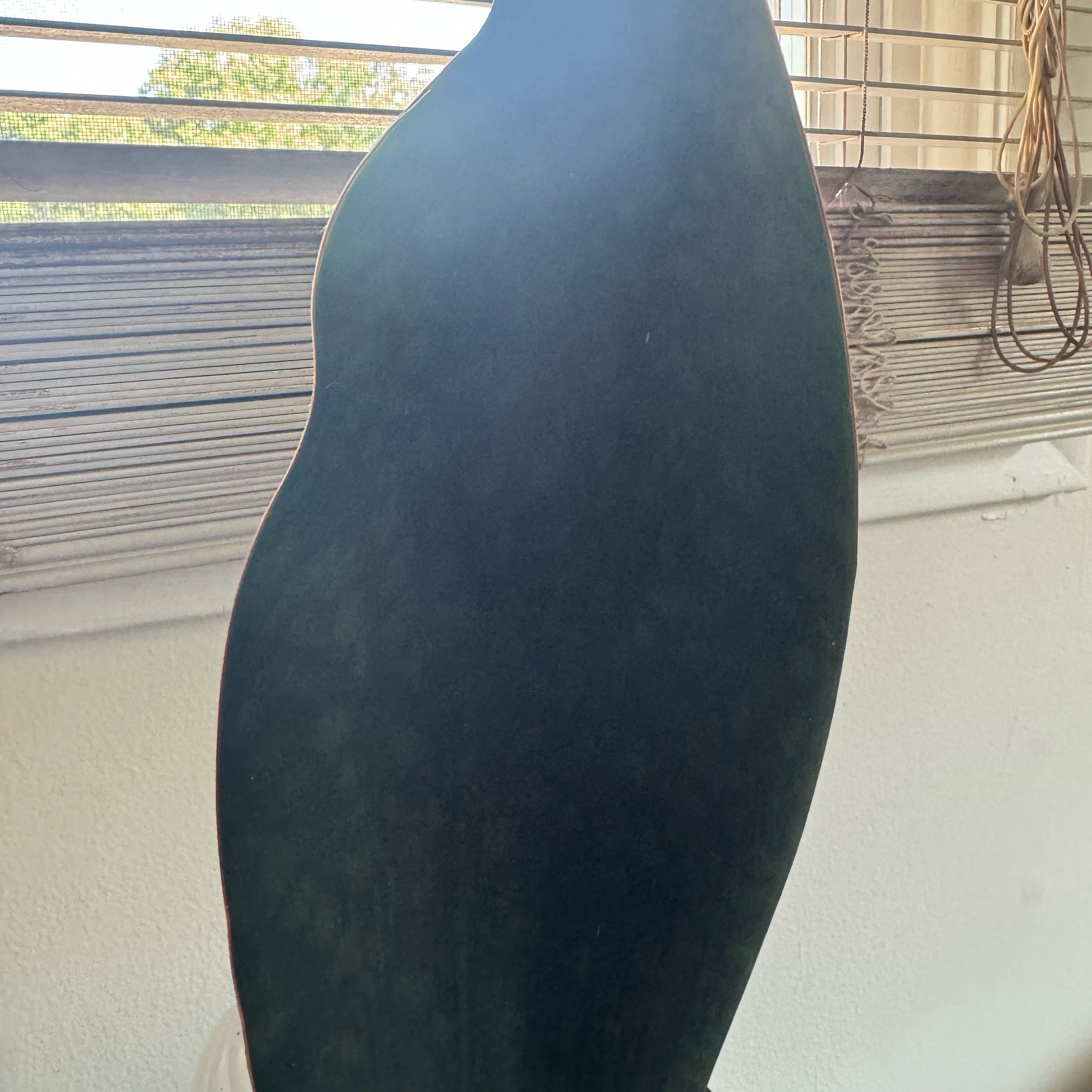 Photo of the plant species Whale Fin 'Black' by @BonusBuffalonut named Mr.  Mistoffelees  - JW on Greg, the plant care app