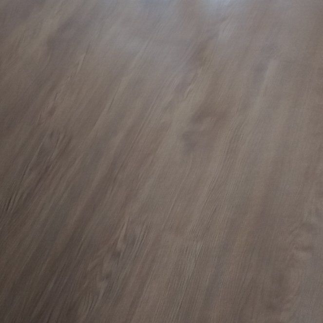 Photo of the plant species Pink Trumpet-Tree by @SportZzplant named Peter Parker on Greg, the plant care app