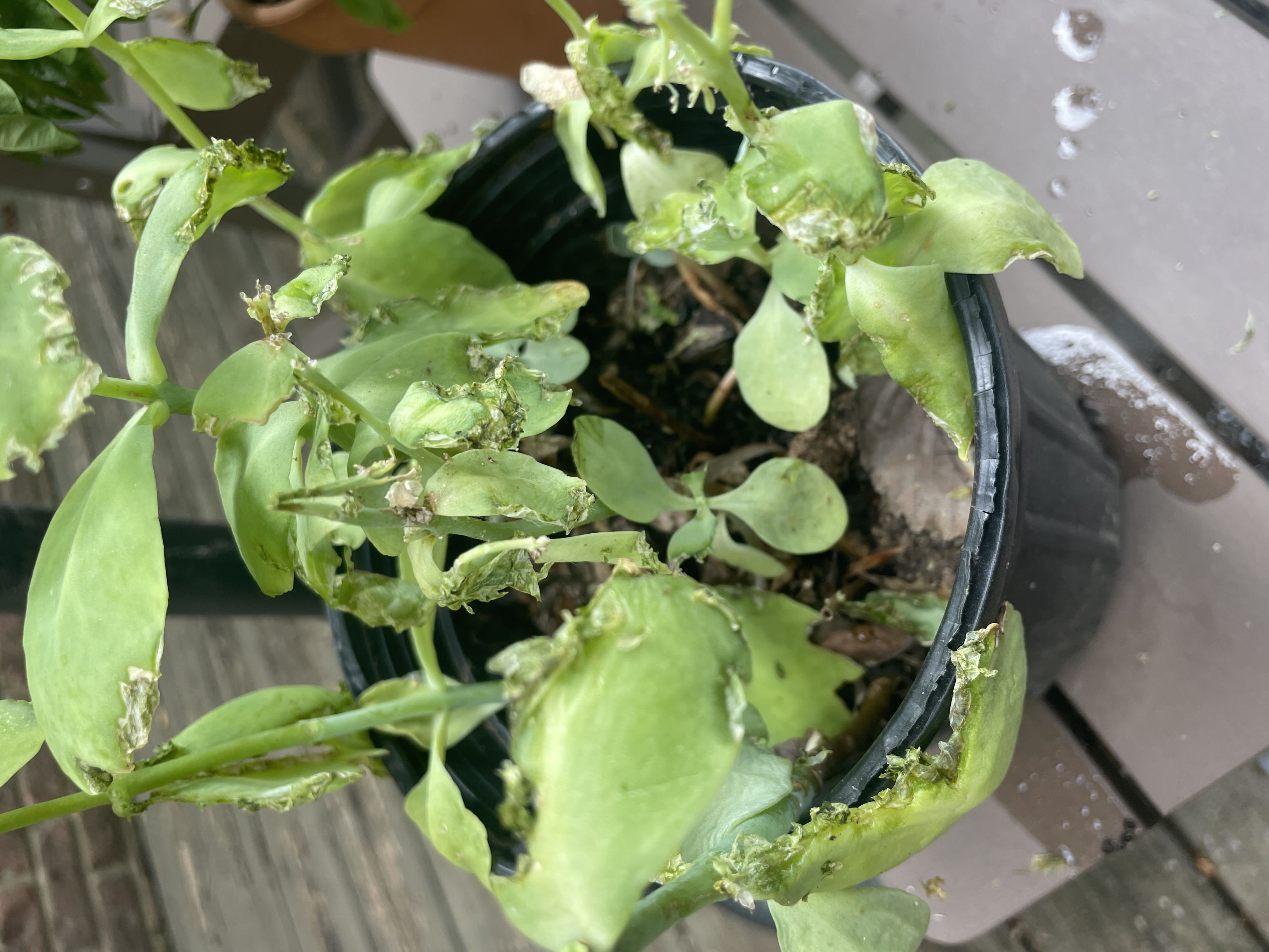 Photo from the post