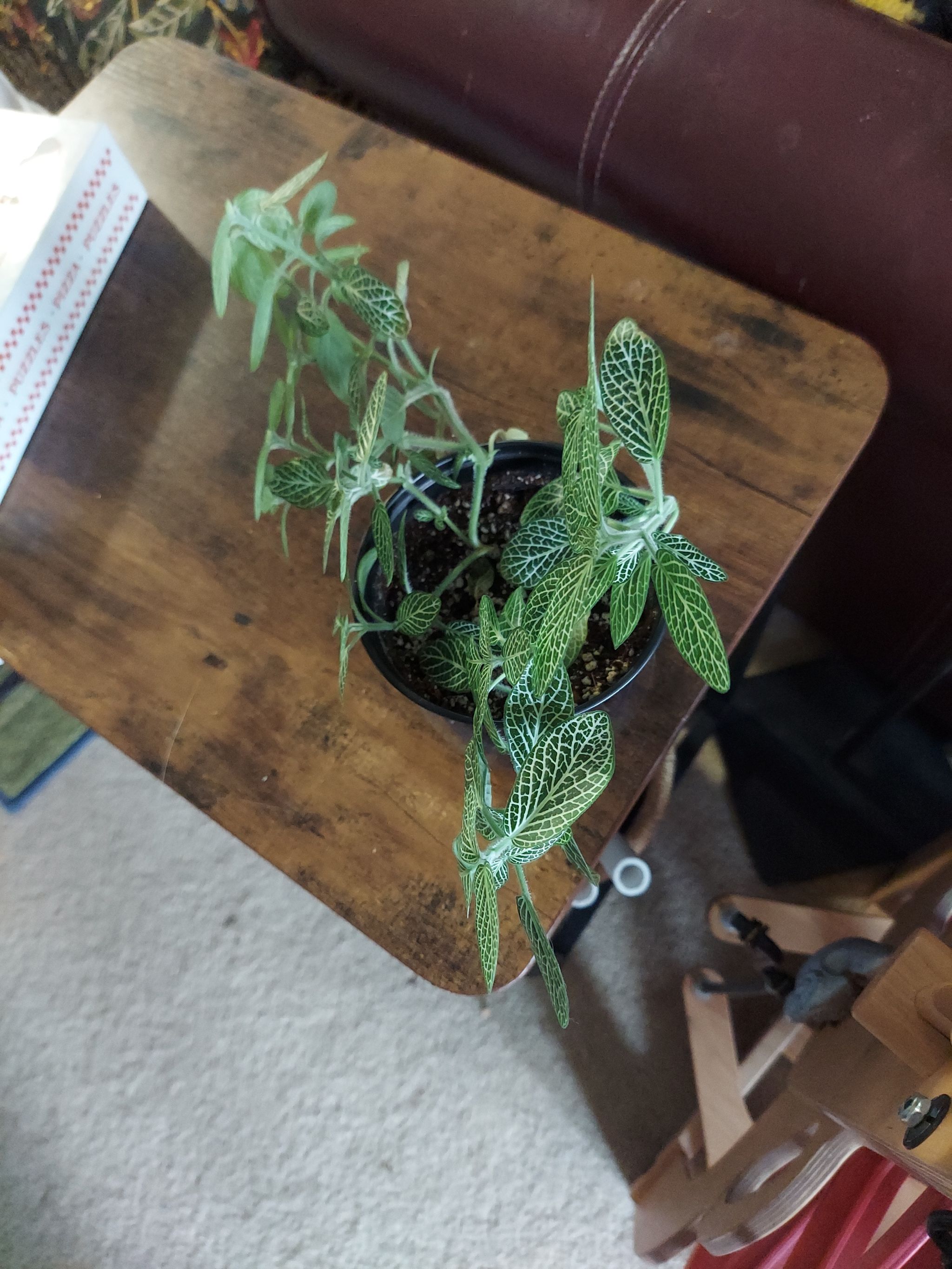 Photo from the post