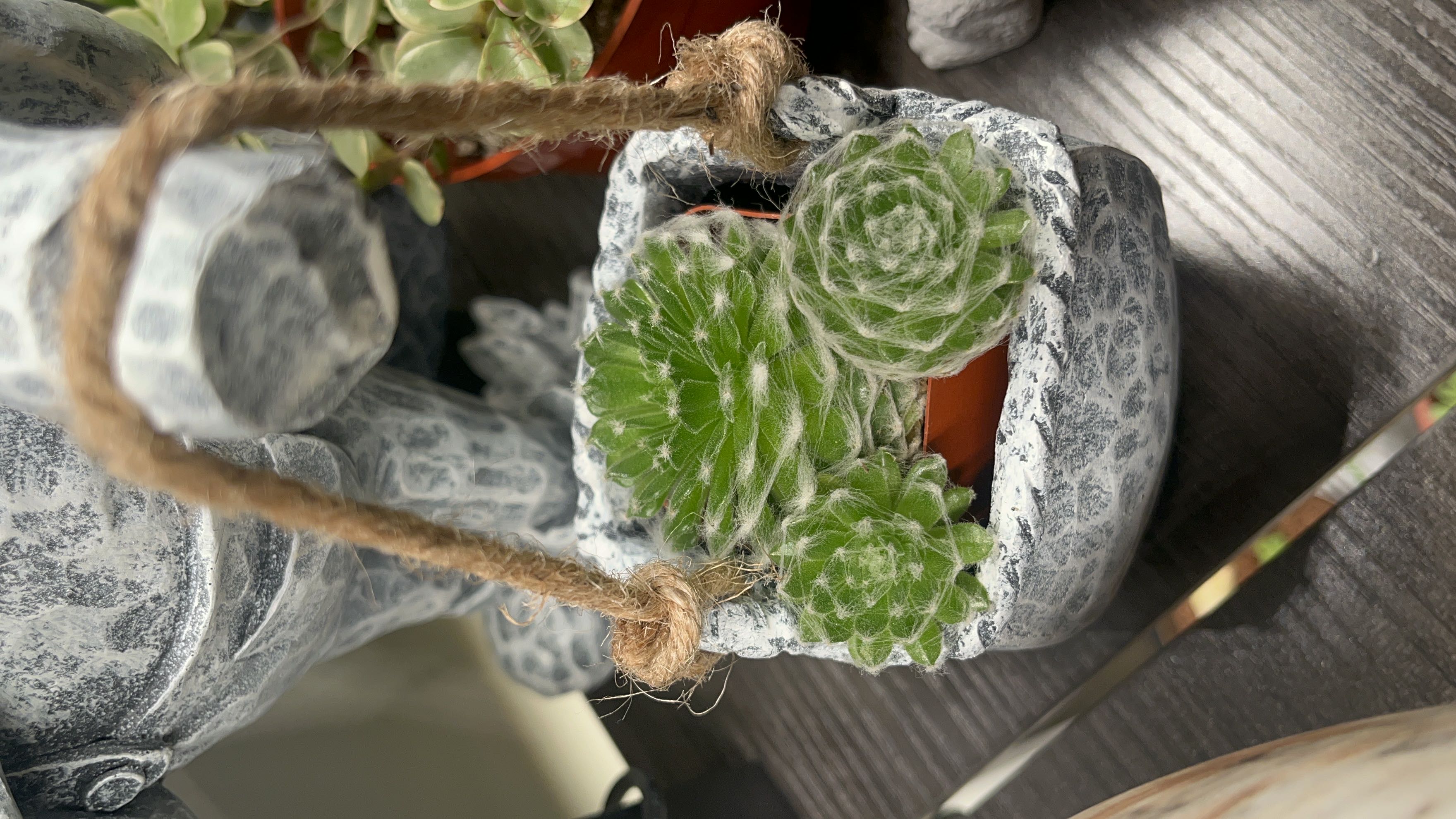 Photo from the post