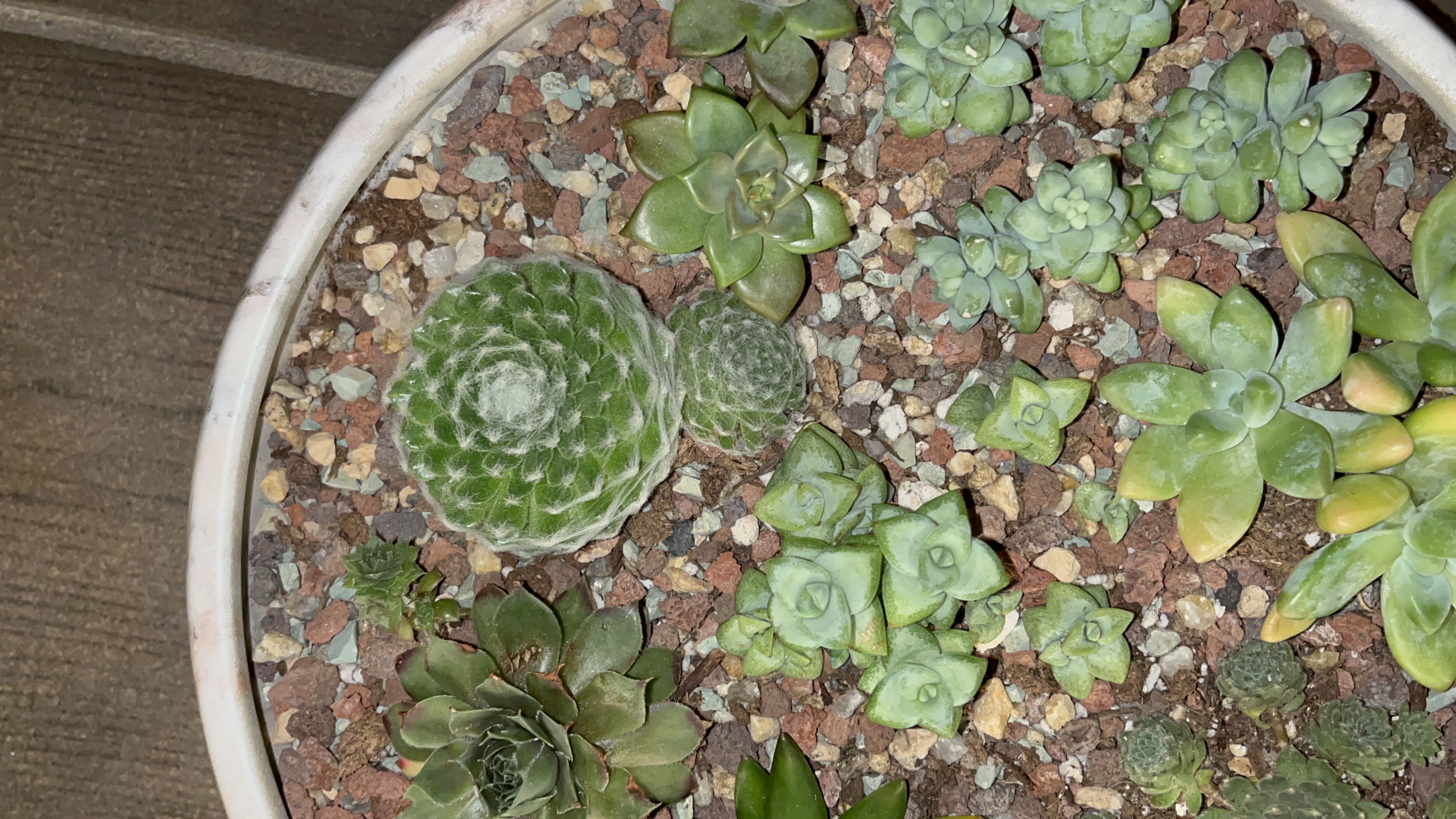 Photo from the post