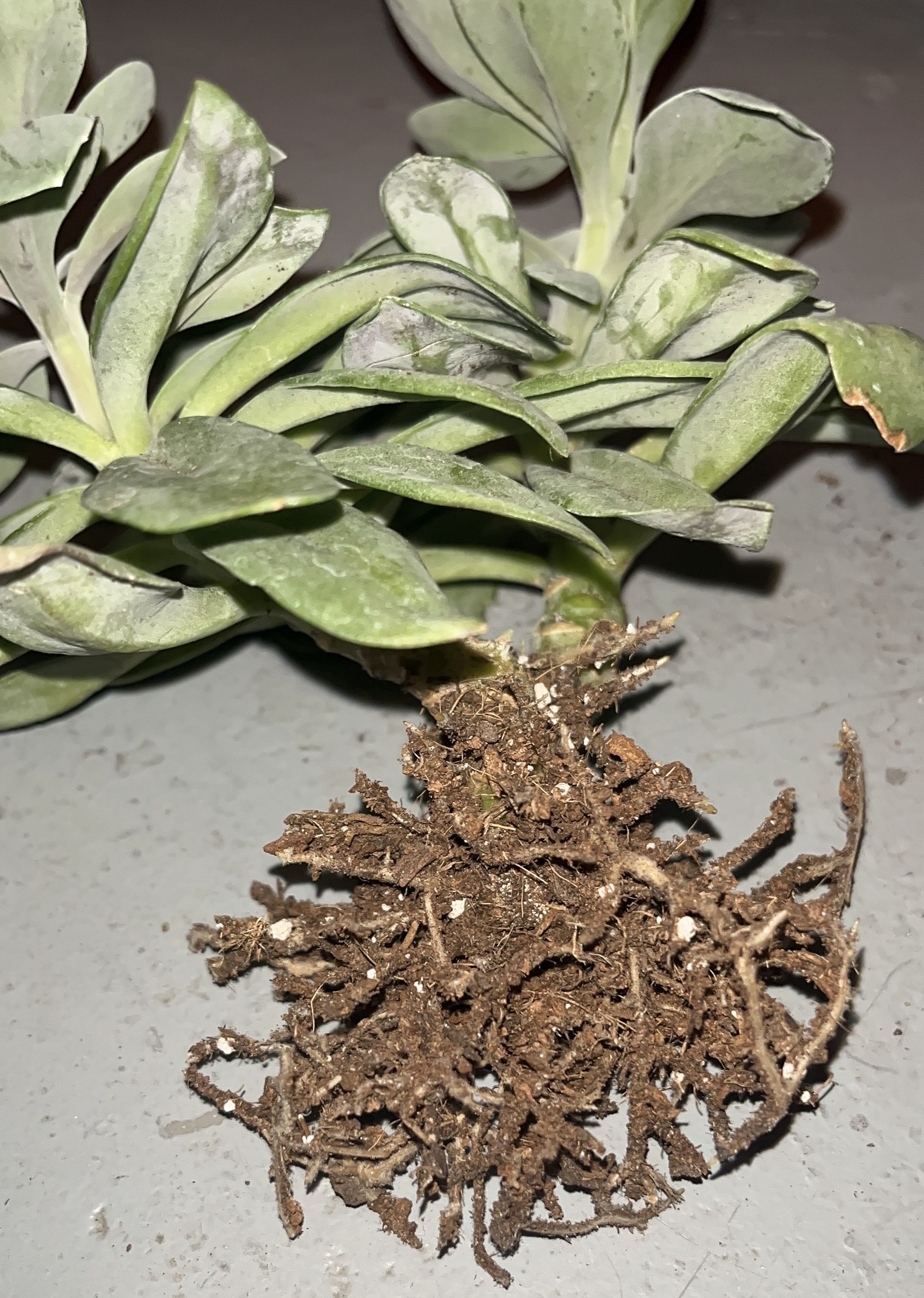Photo from the post