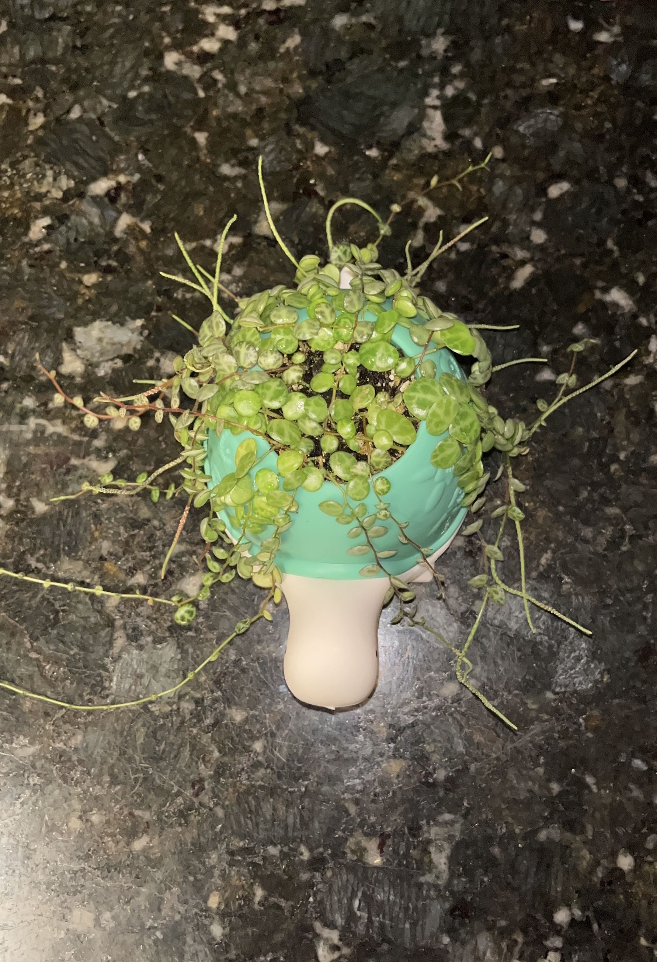 Photo from the post