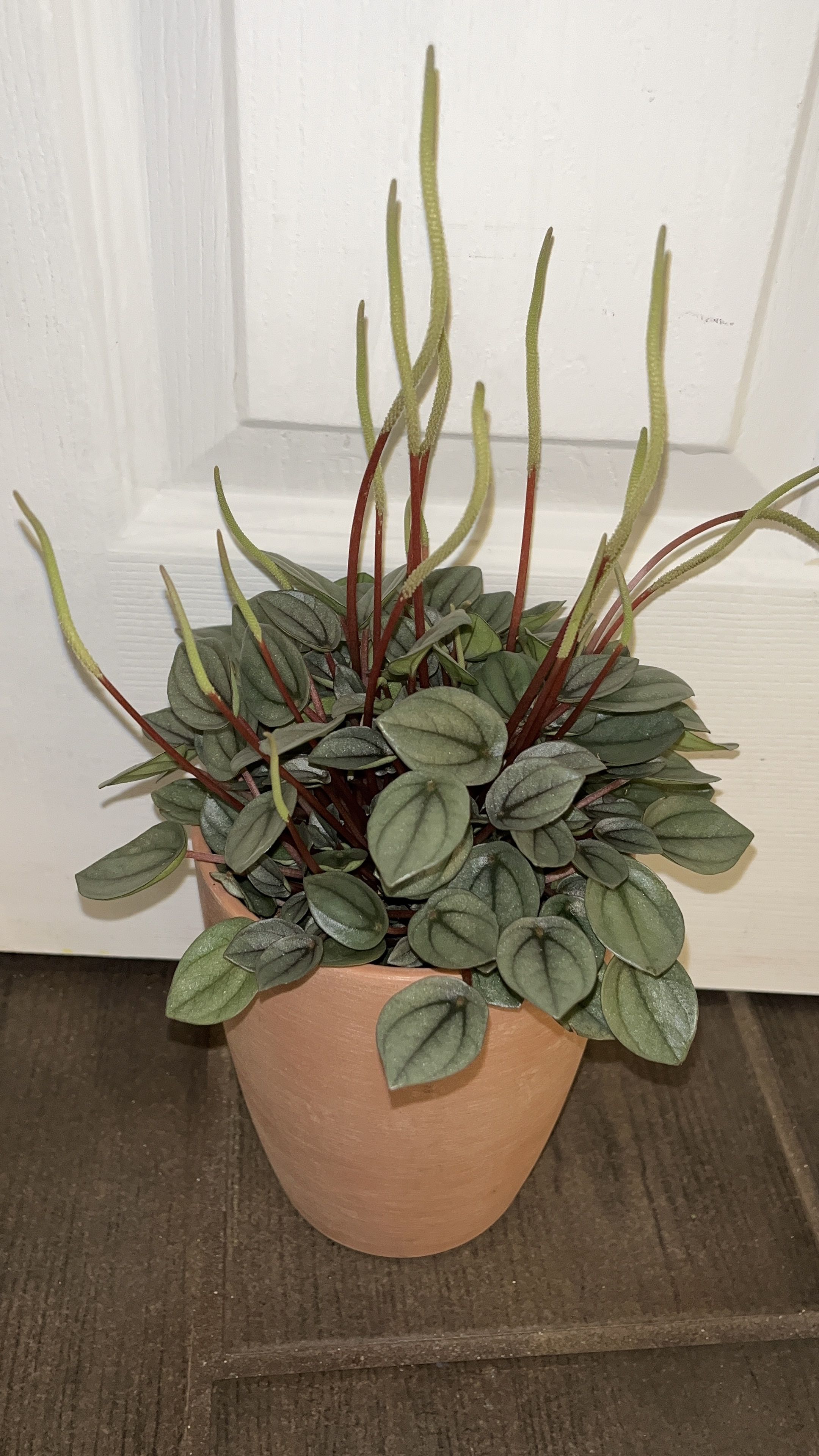 Photo from the post
