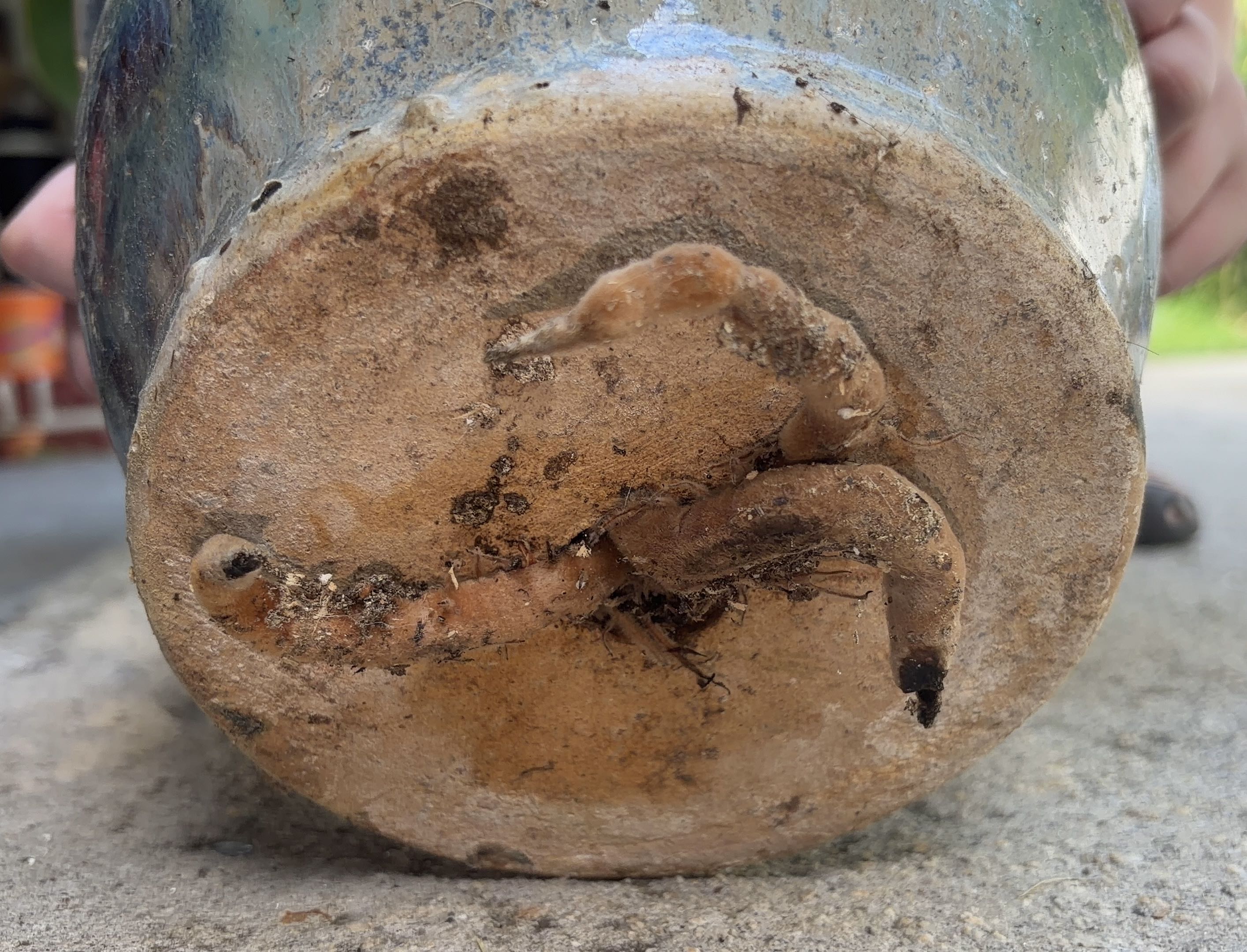 Photo from the post