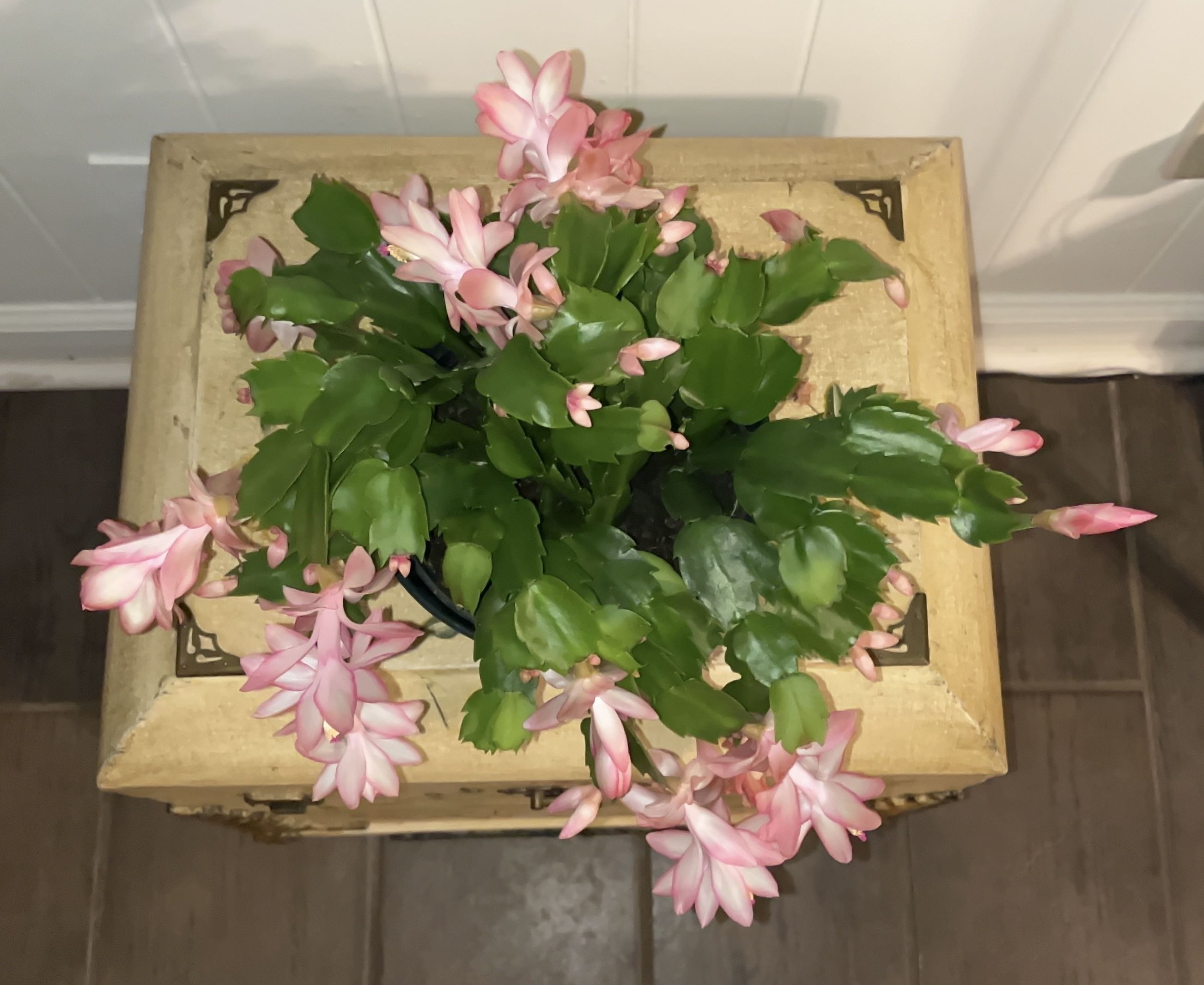 Photo from the post