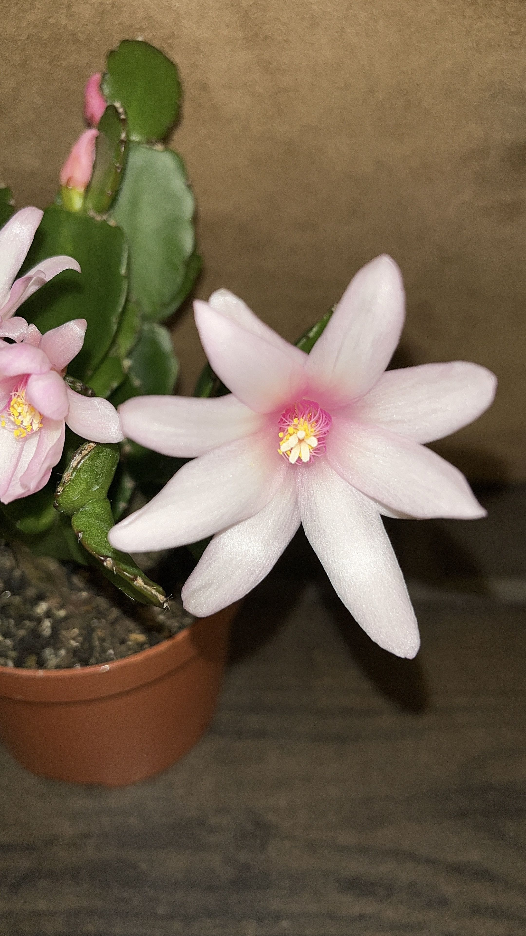 Photo from the post