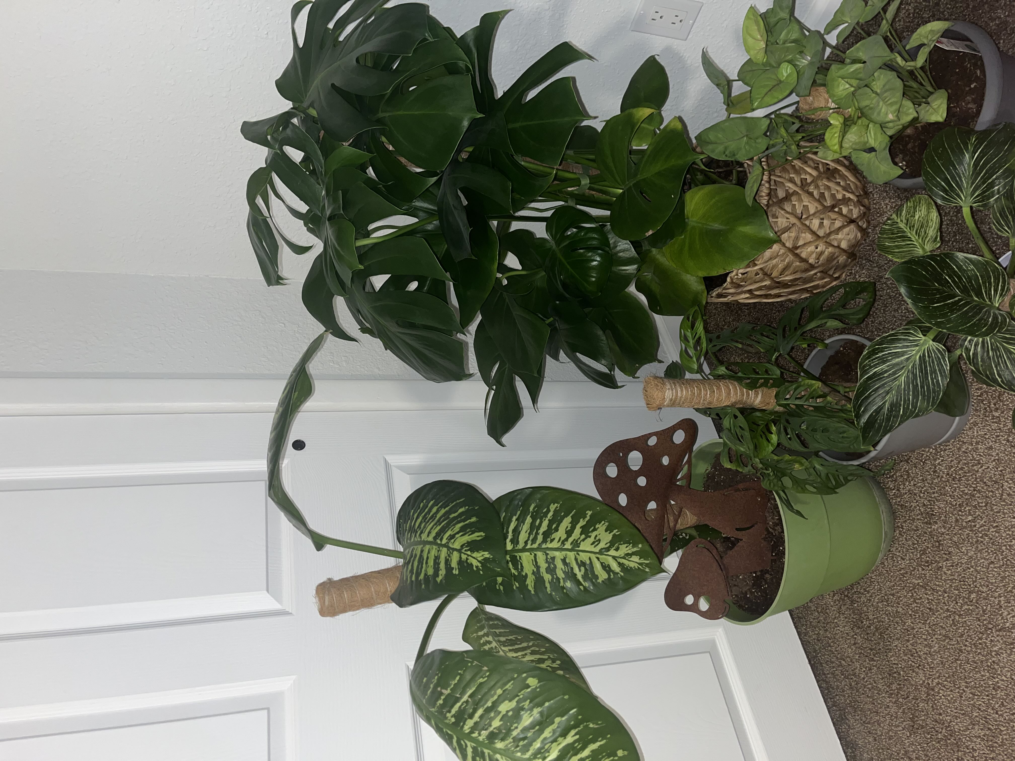 Photo from the post