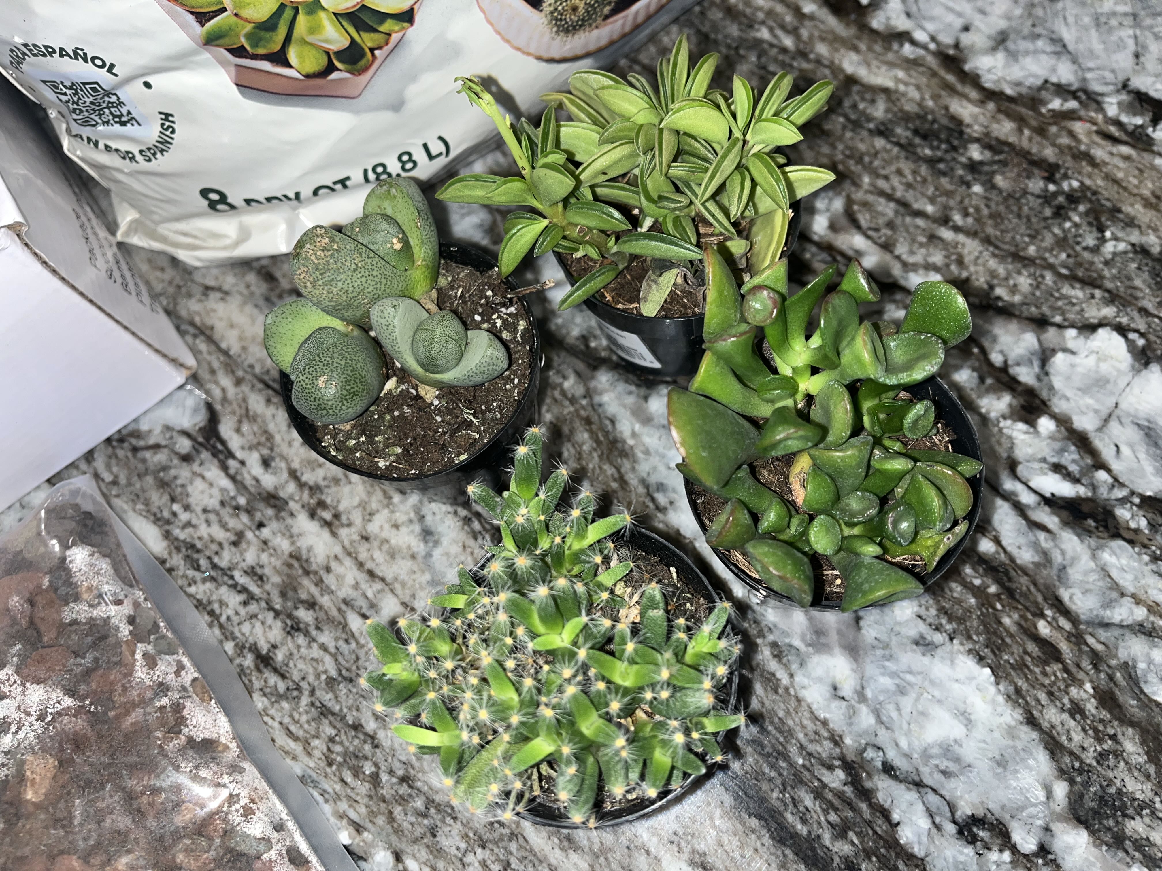 Photo from the post