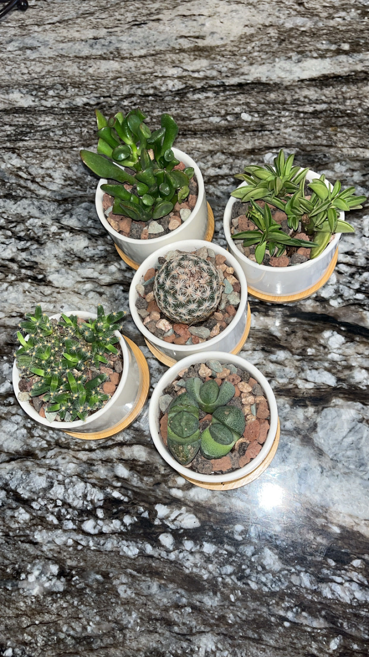 Photo from the post