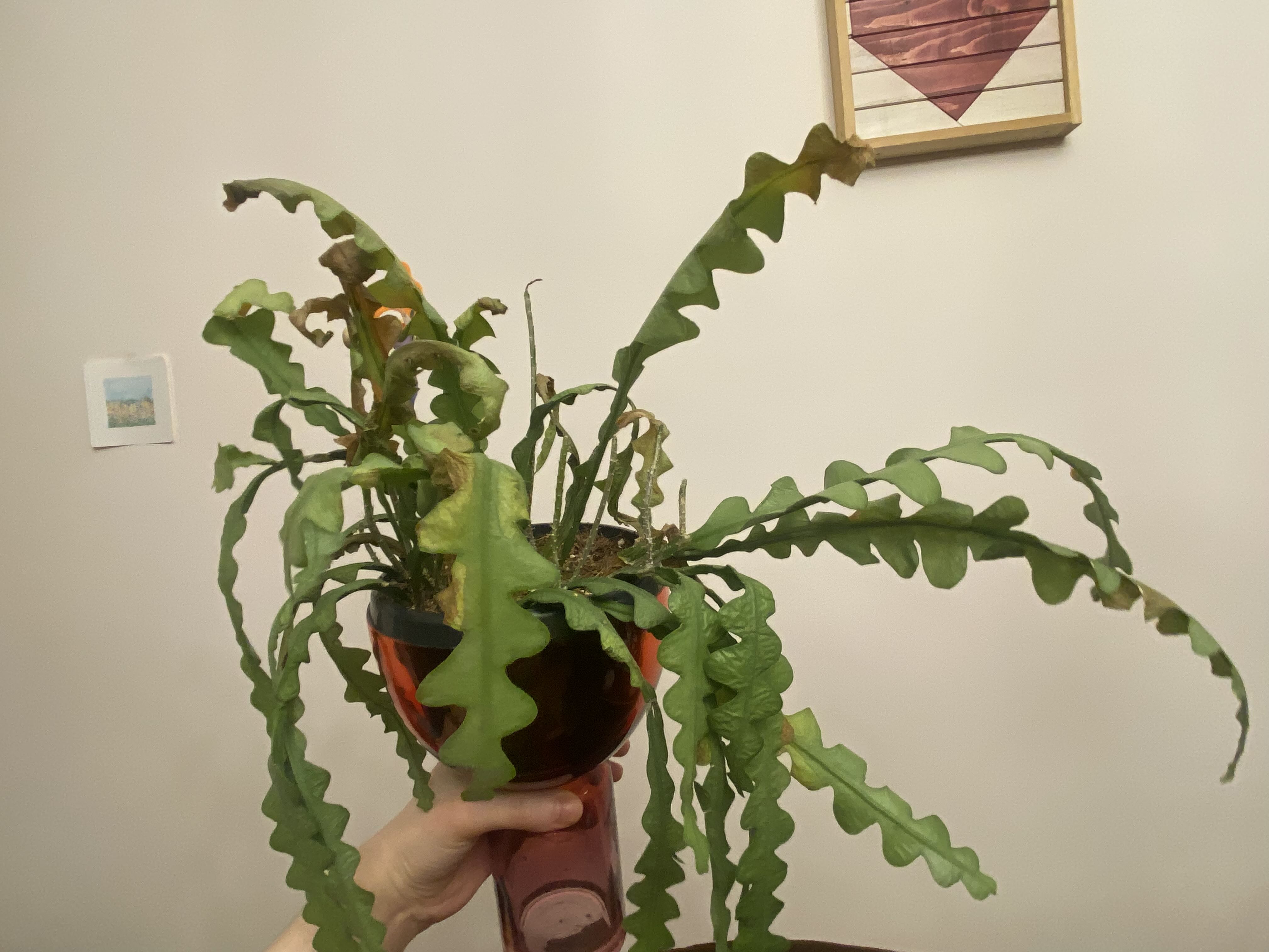 Photo from the post