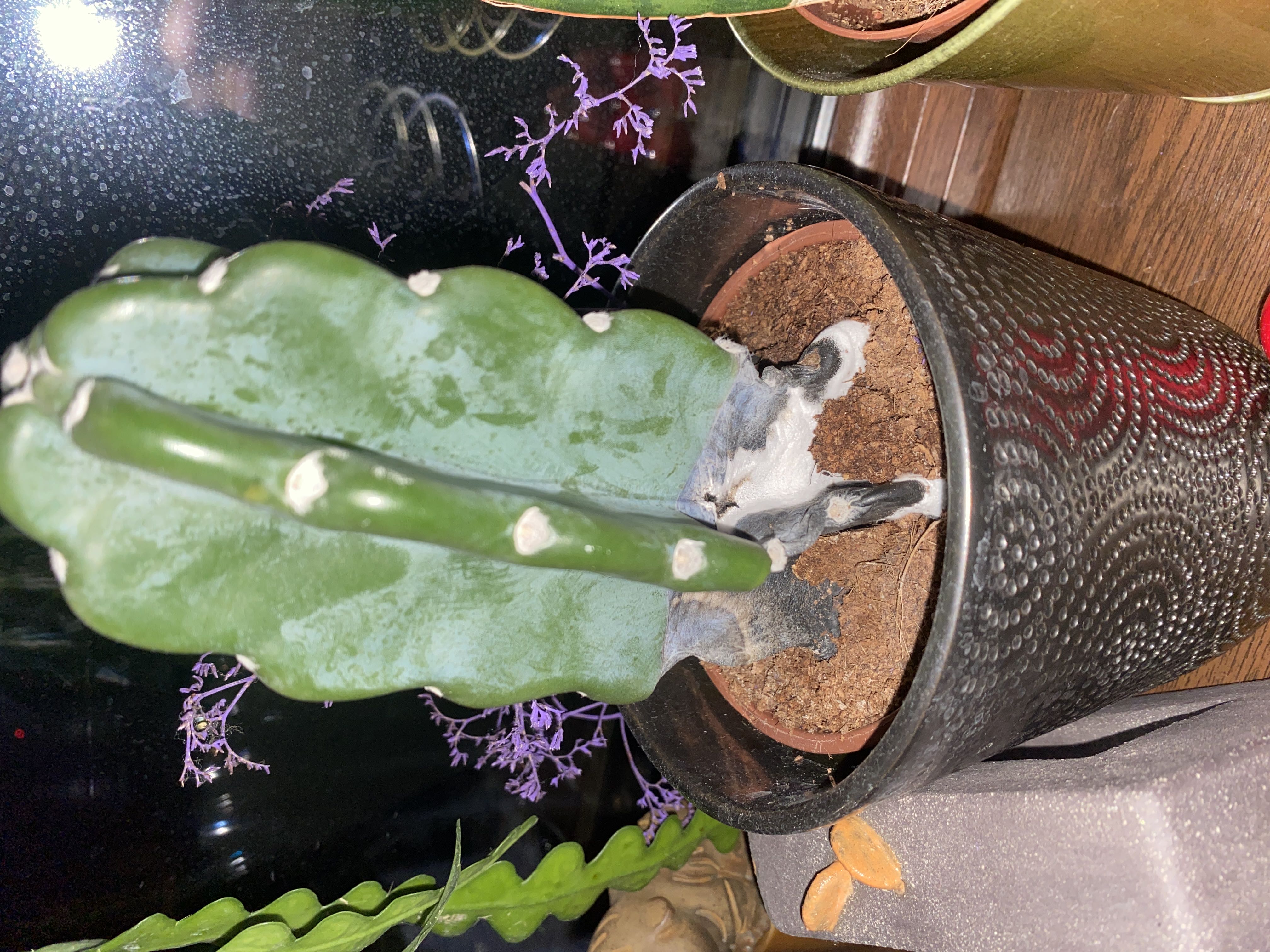 Photo from the post