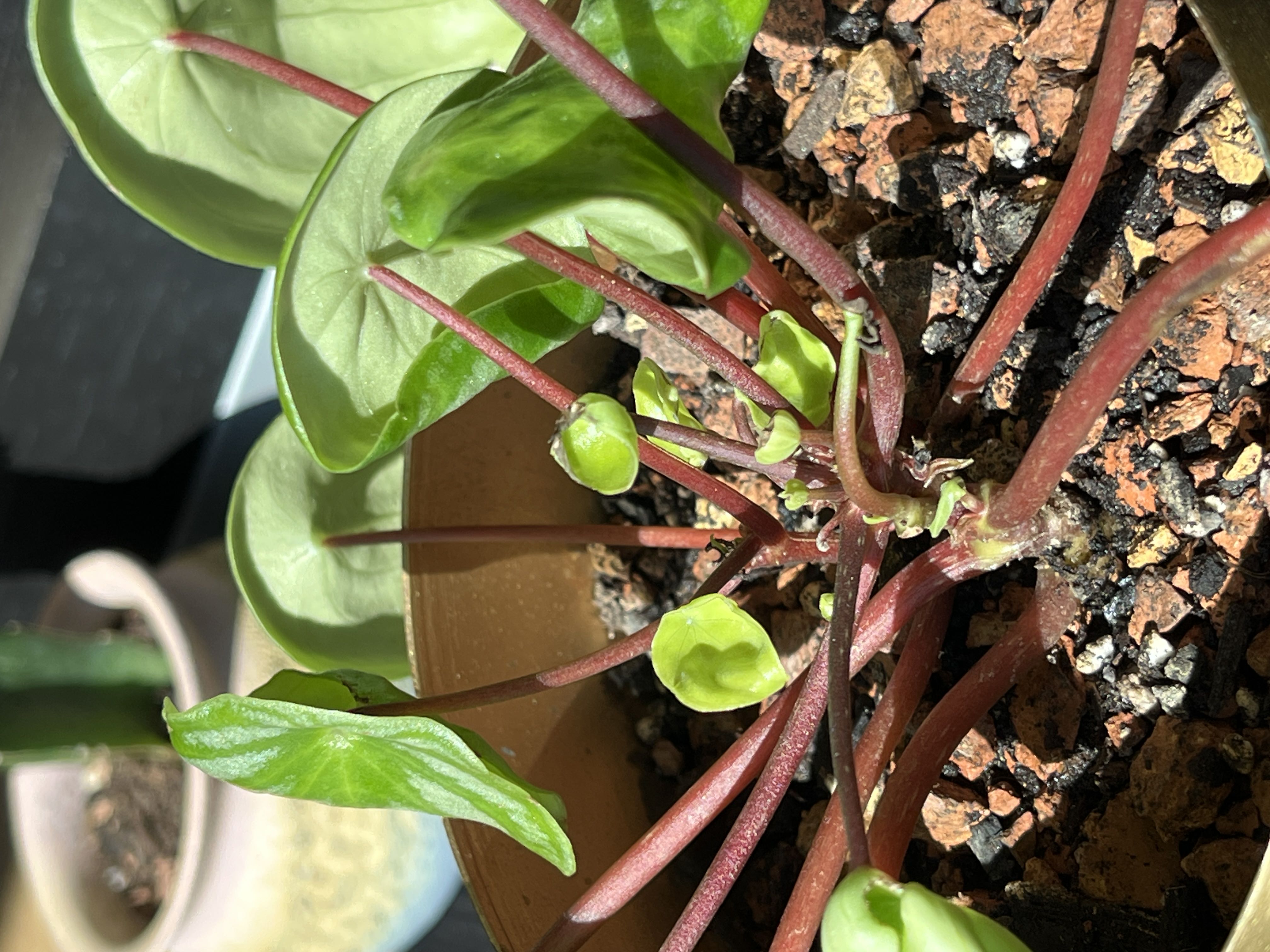 Photo from the post