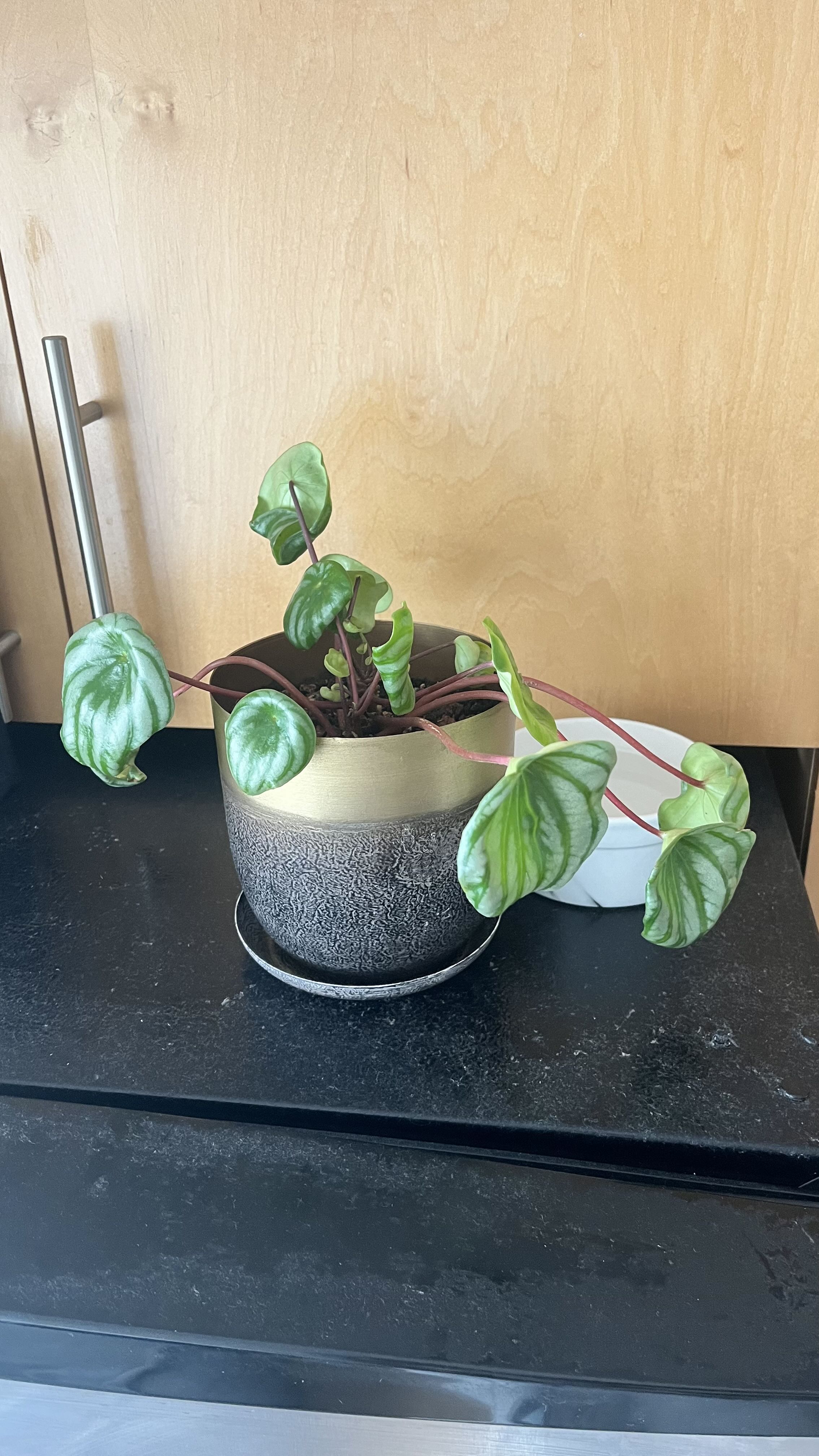 Photo from the post