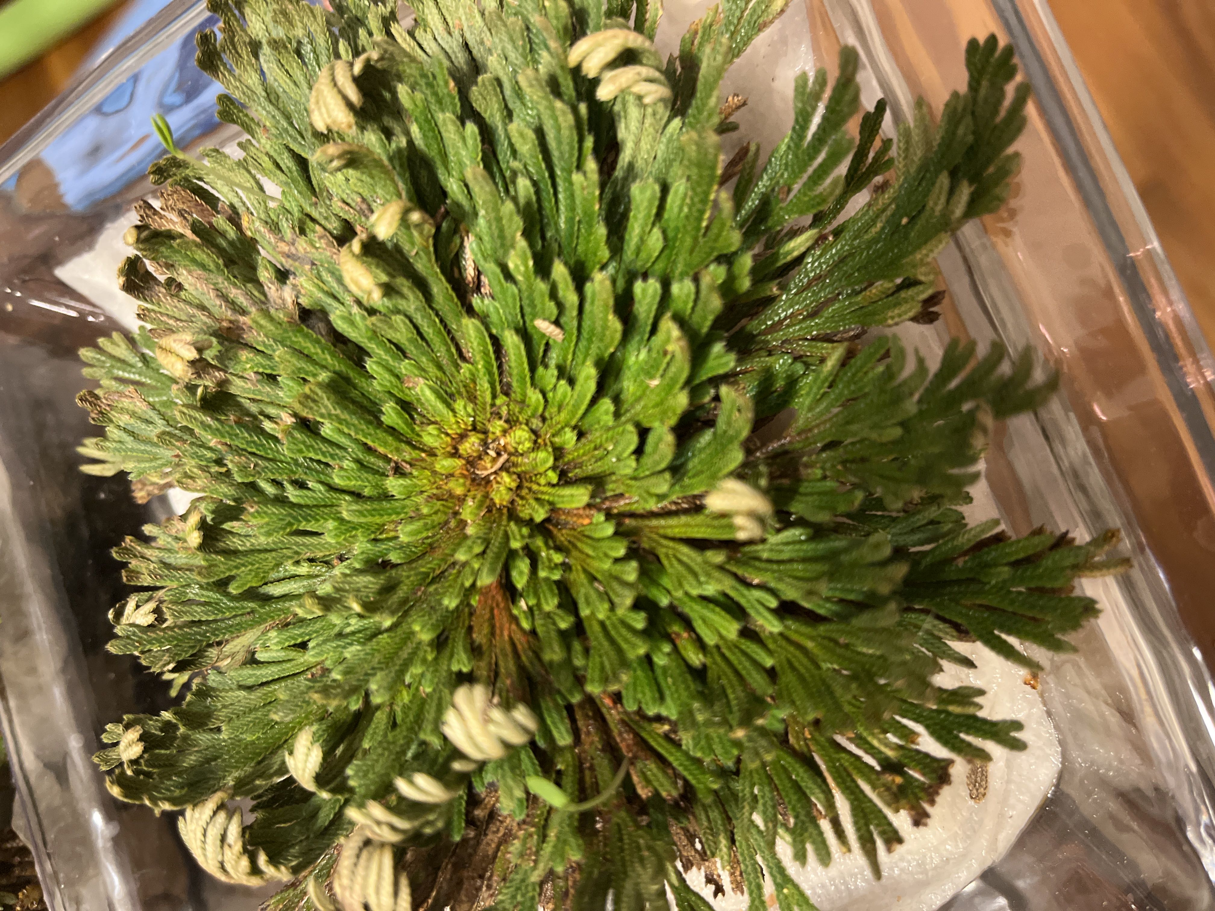Photo from the post