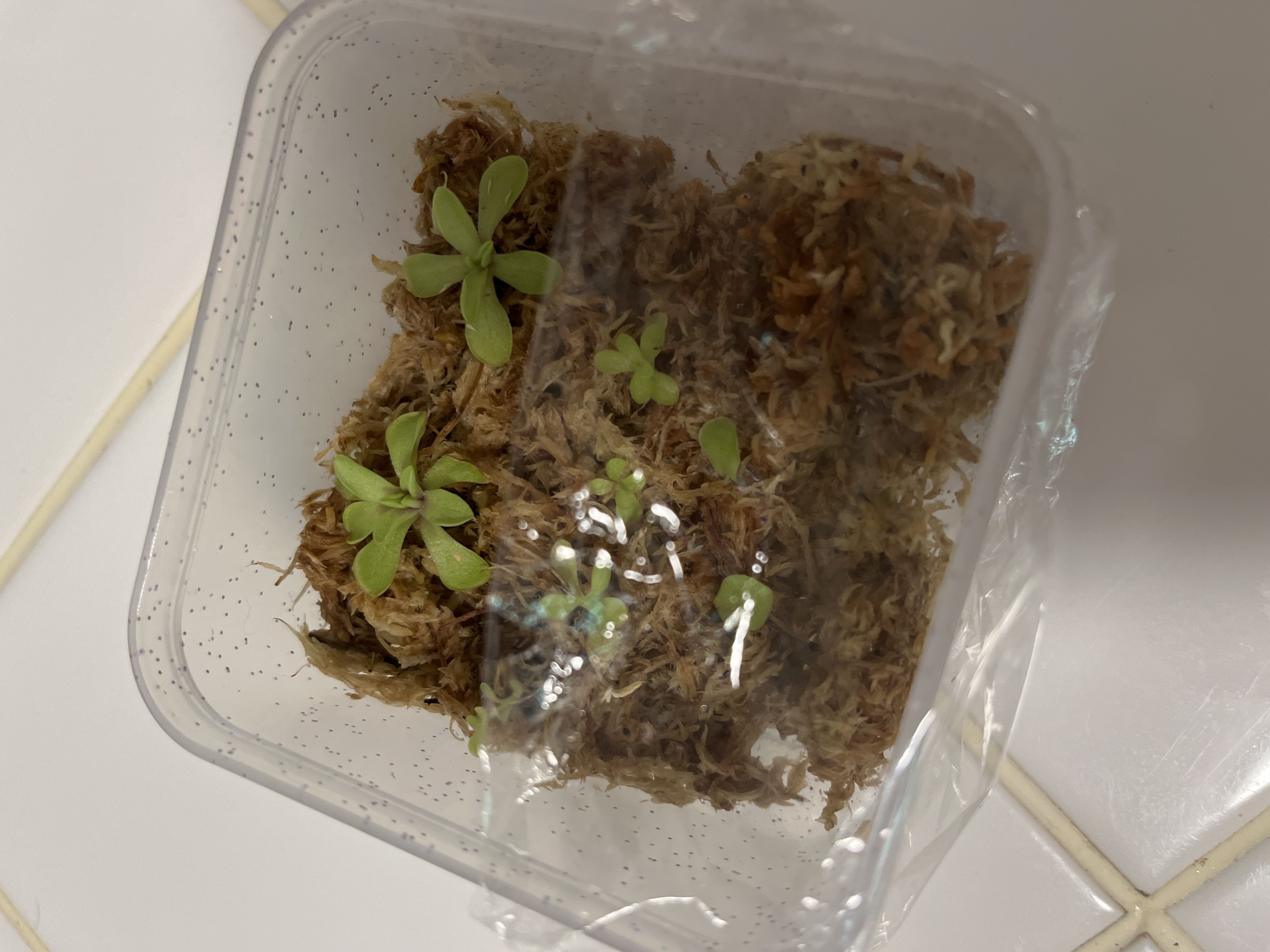 Photo from the post